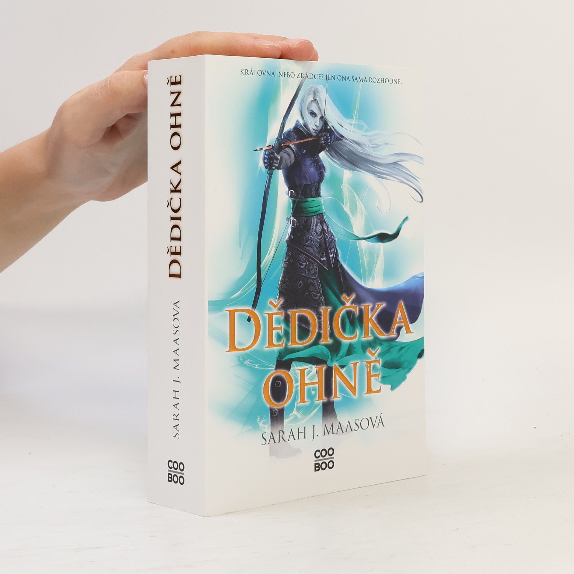 Sarah J. Maas Dědička ohně