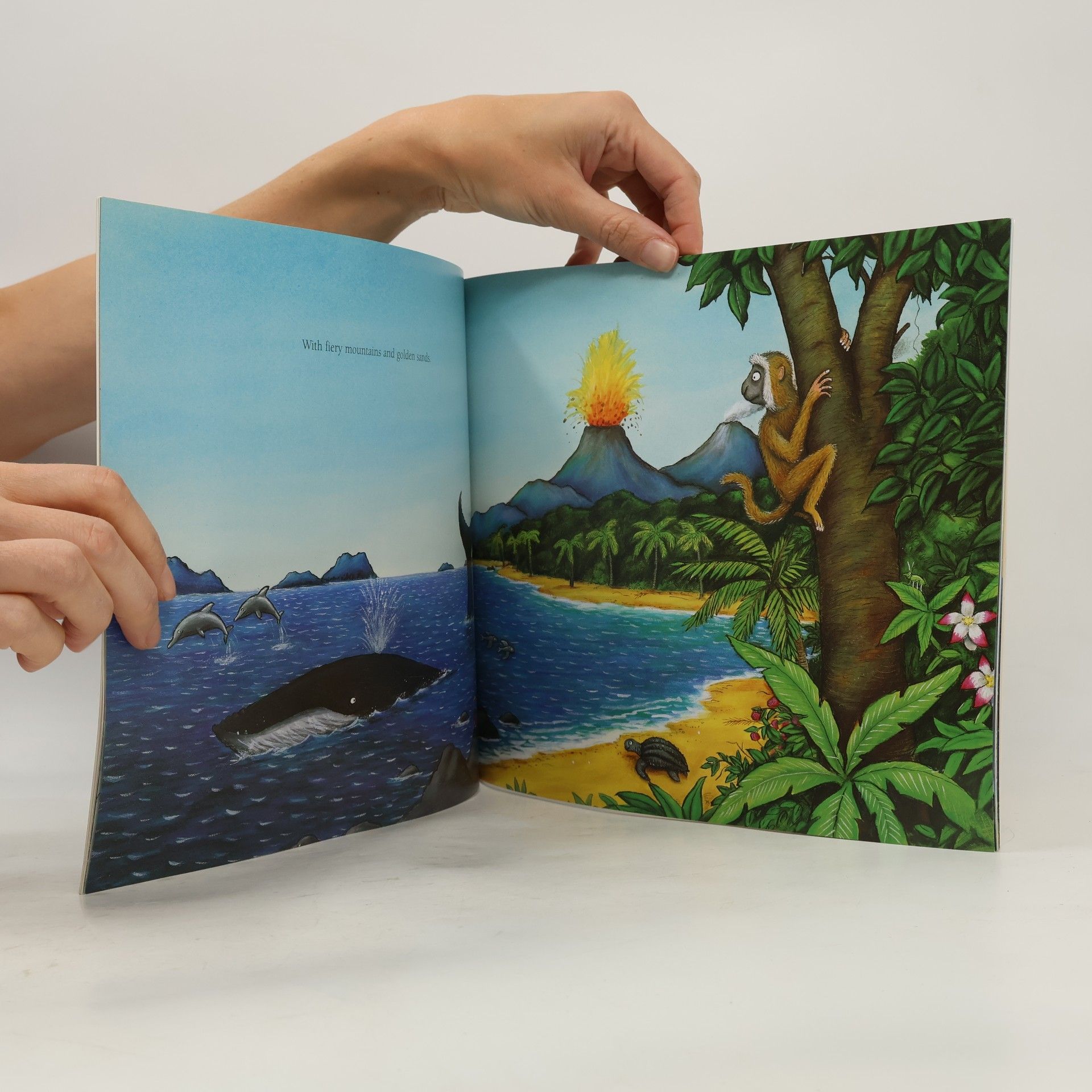 Julia Donaldson The Snail and the Whale