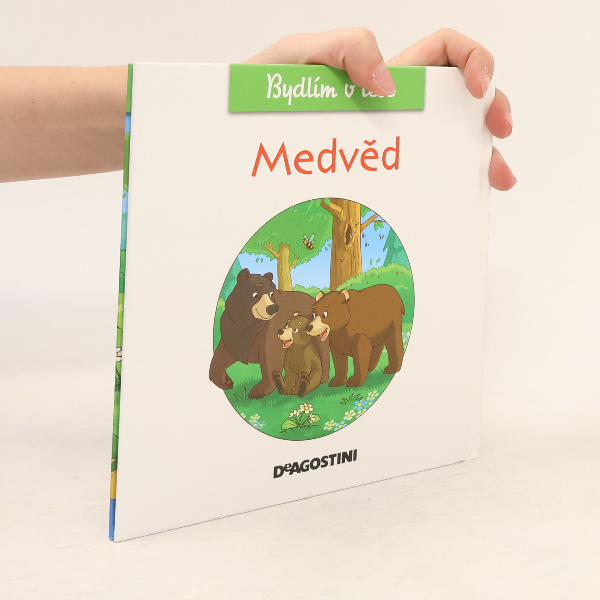 Kolektiv autorů Bydlím v lese 2. Medvěd