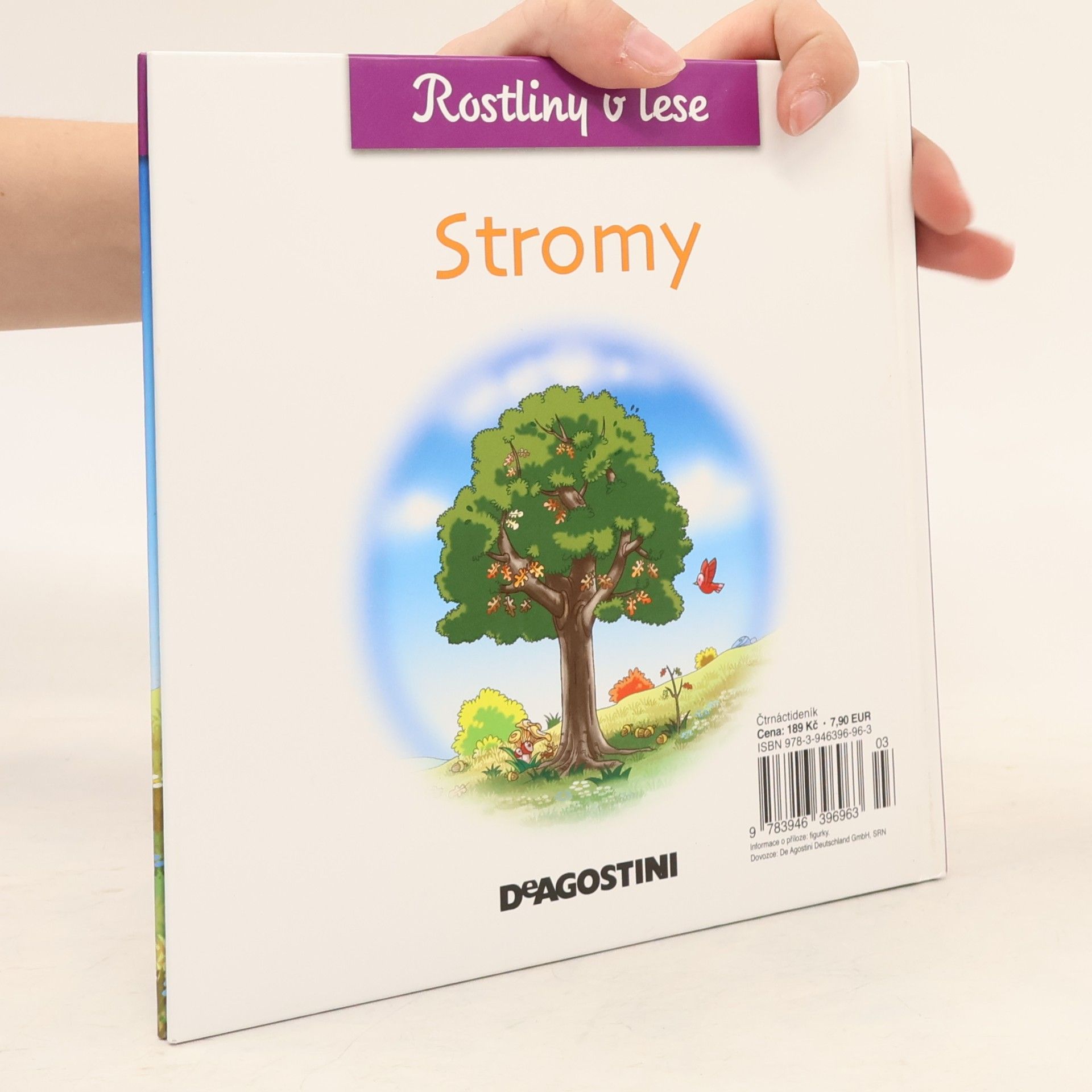 Kolektiv autorů Rostliny v lese 11. Stromy