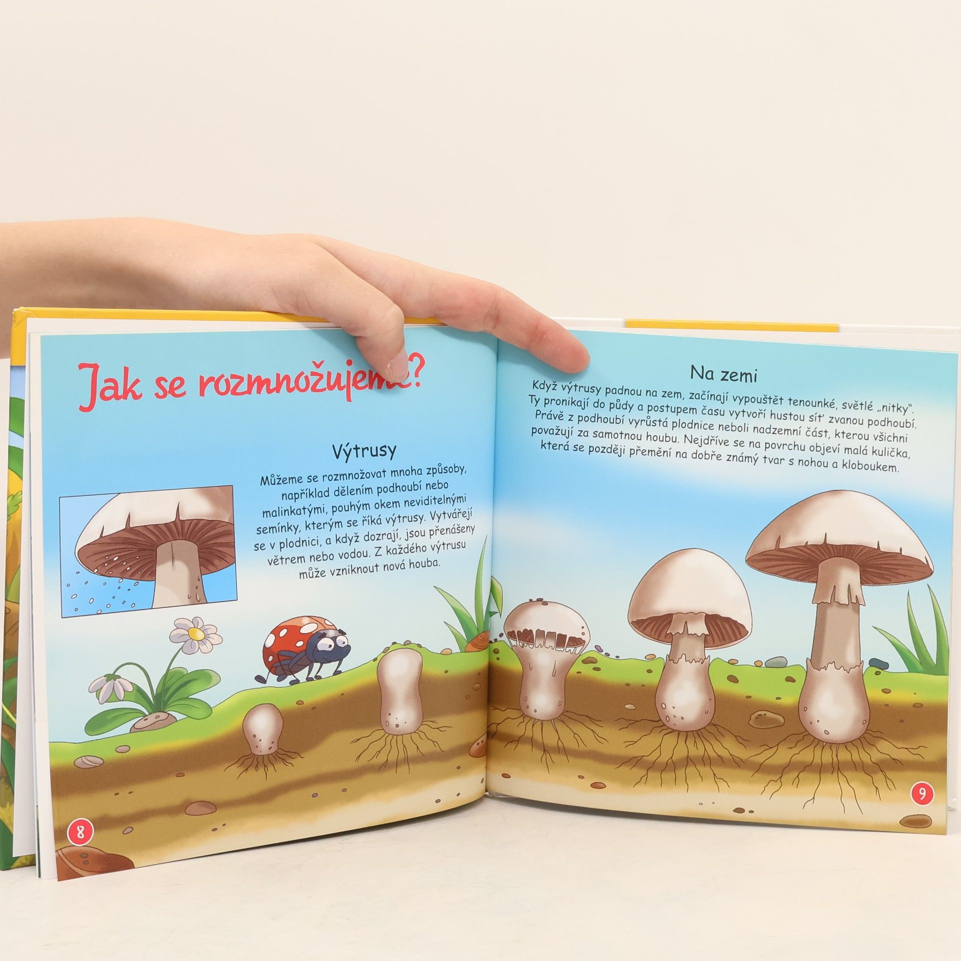 Autorenkollektiv Tajemství lesa 7. Houby