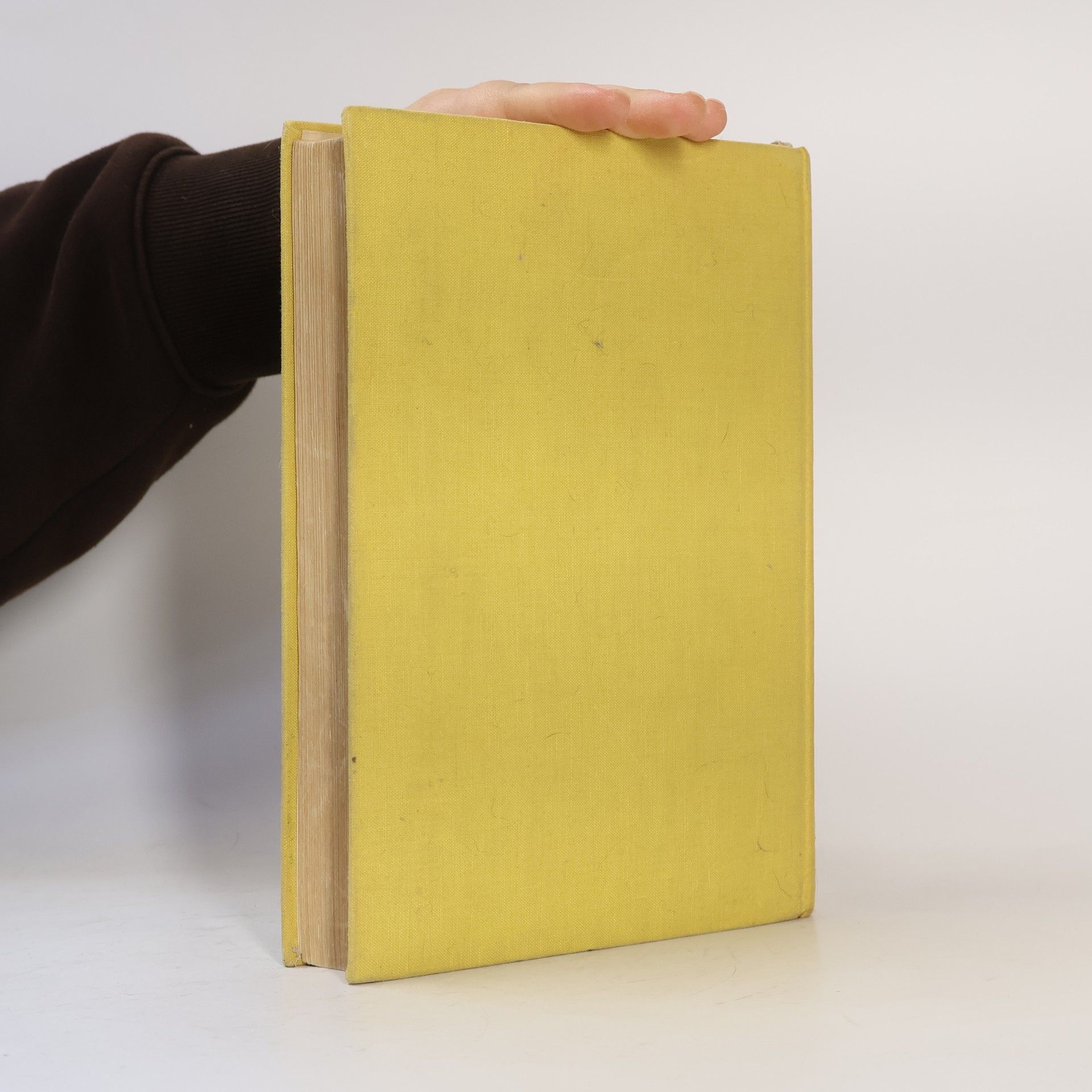 Harriet Beecher Stowe Chaloupka strýčka Toma
