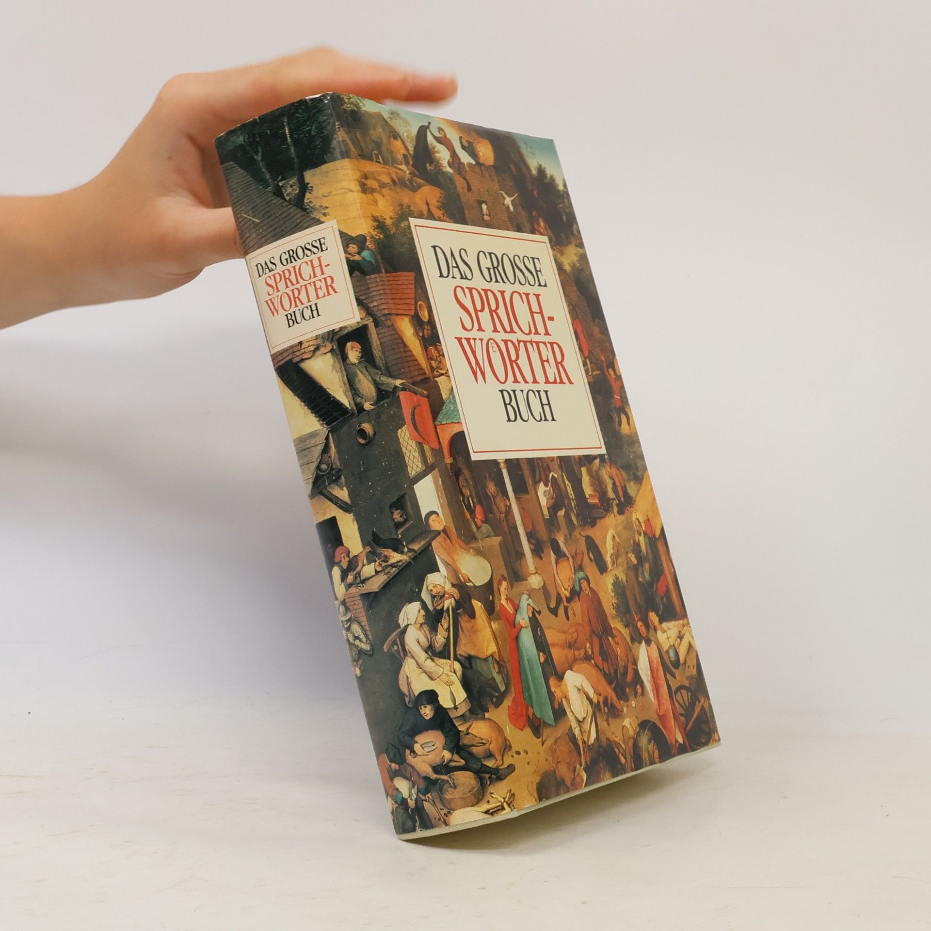 Various authors Das Grosse Sprichworter Buch