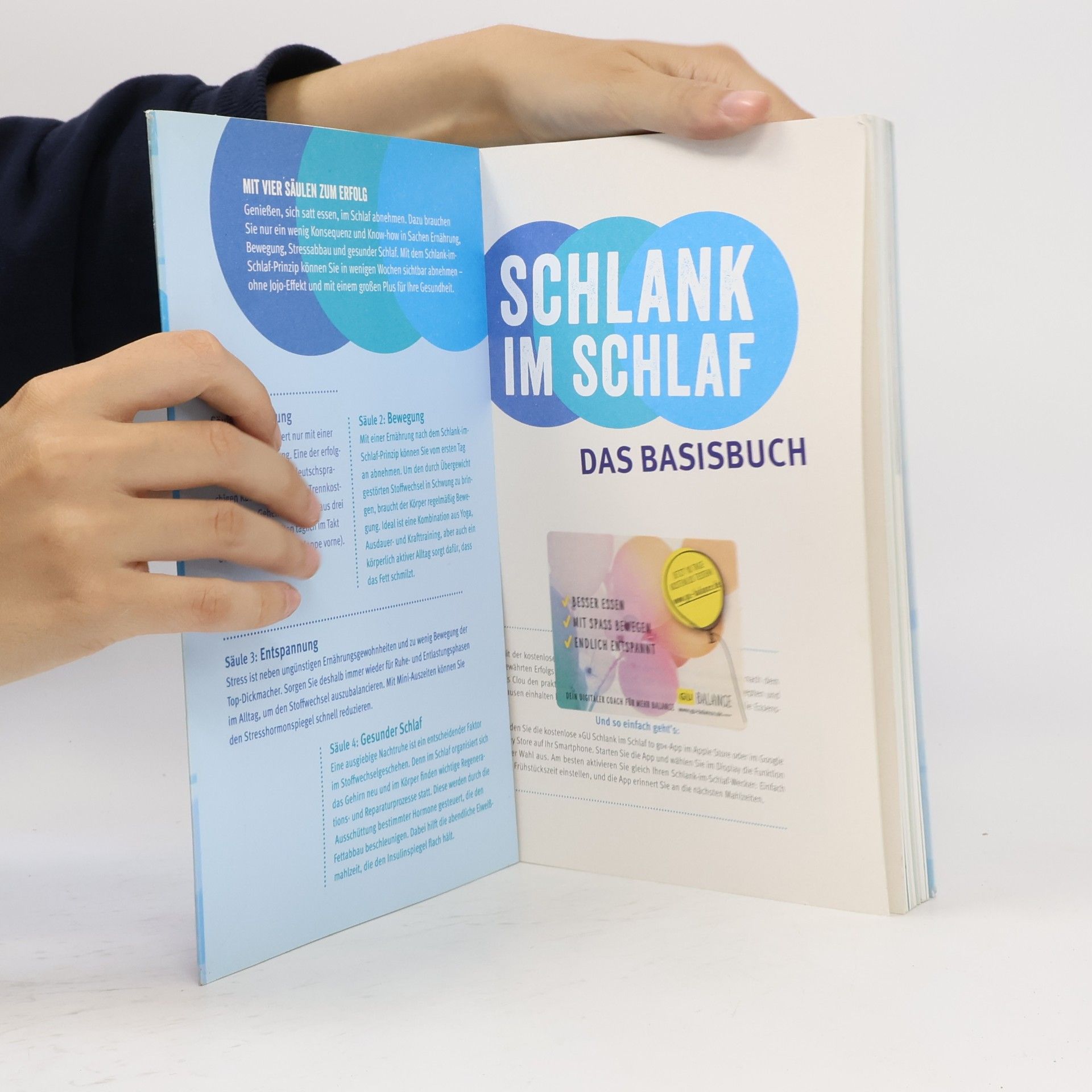 Detlef Pape Schlank im Schlaf - das Basisbuch