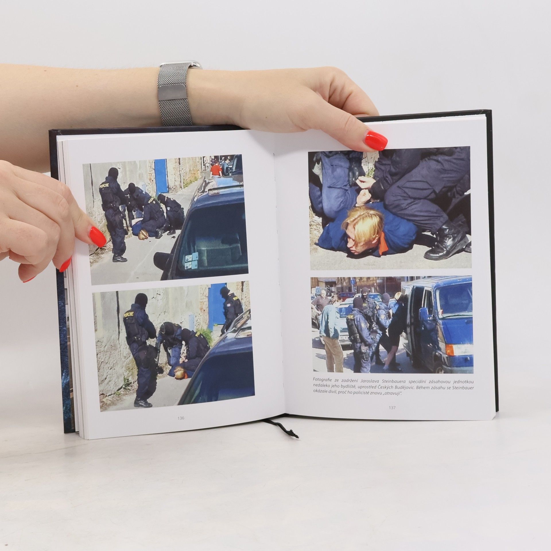 Václav Hýsek Budějovická mordparta