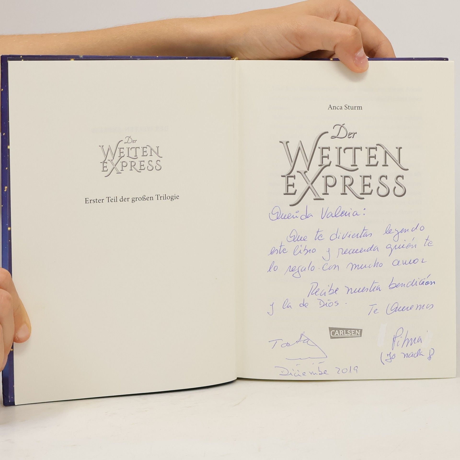 Anca Sturm Der Weltenexpress