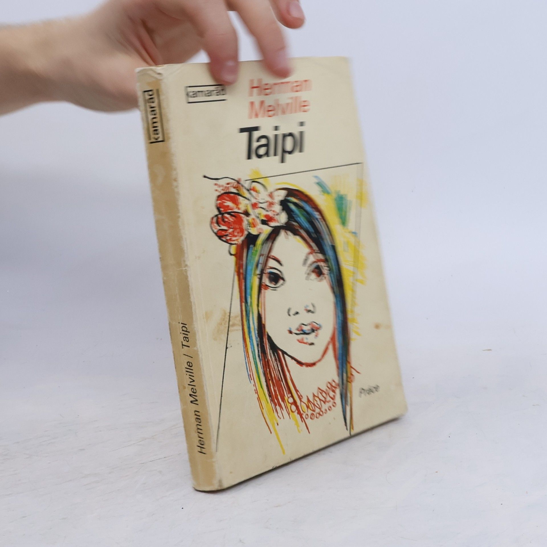 Herman Melville Taipi