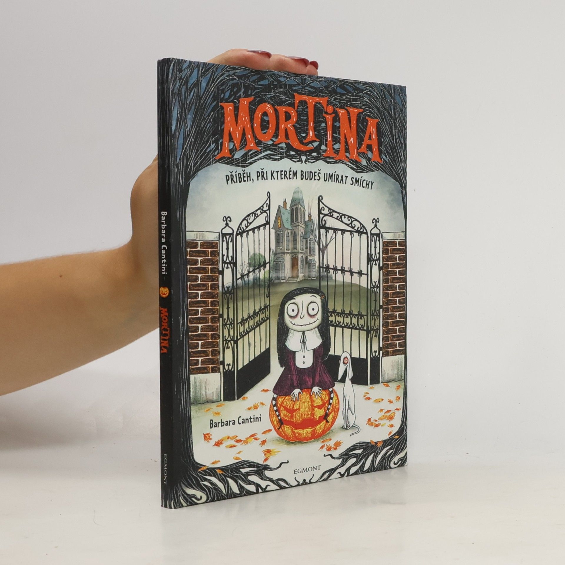 Barbara Cantini Mortina