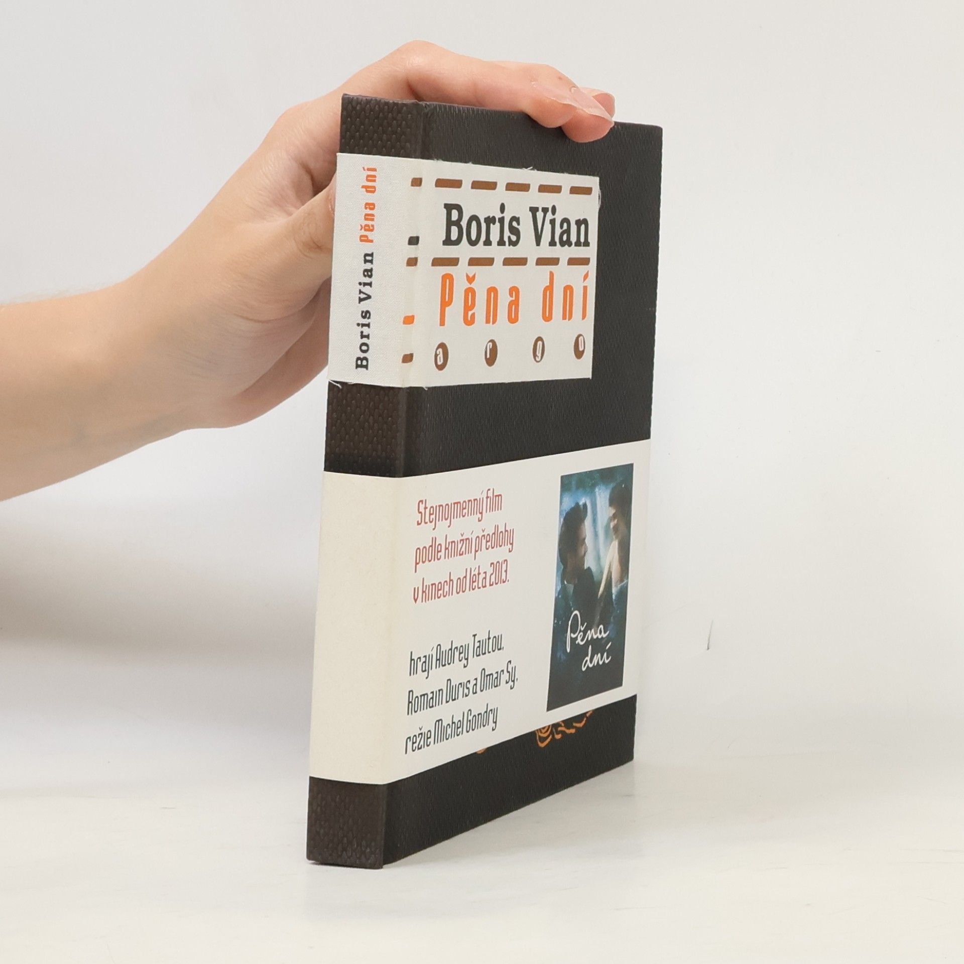 Boris Vian Pěna dní