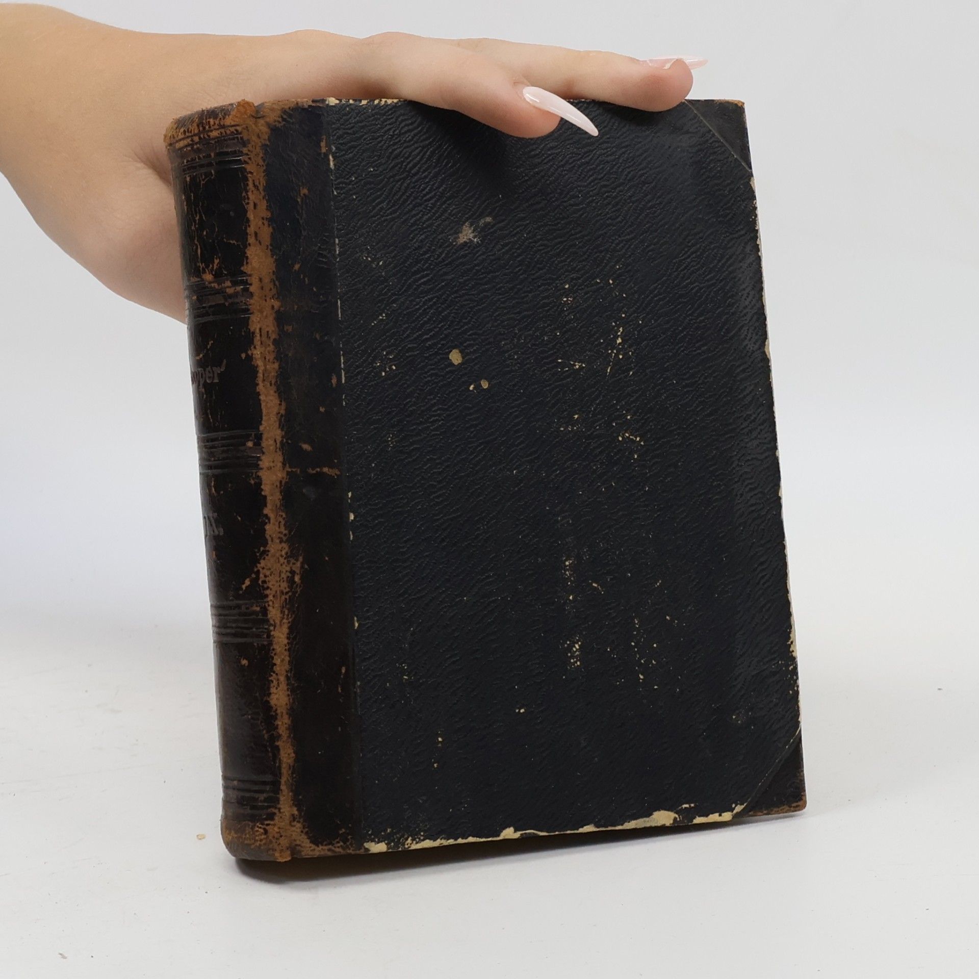 James Fenimore Cooper Die Weineite von Wisch-Ton-Wisch