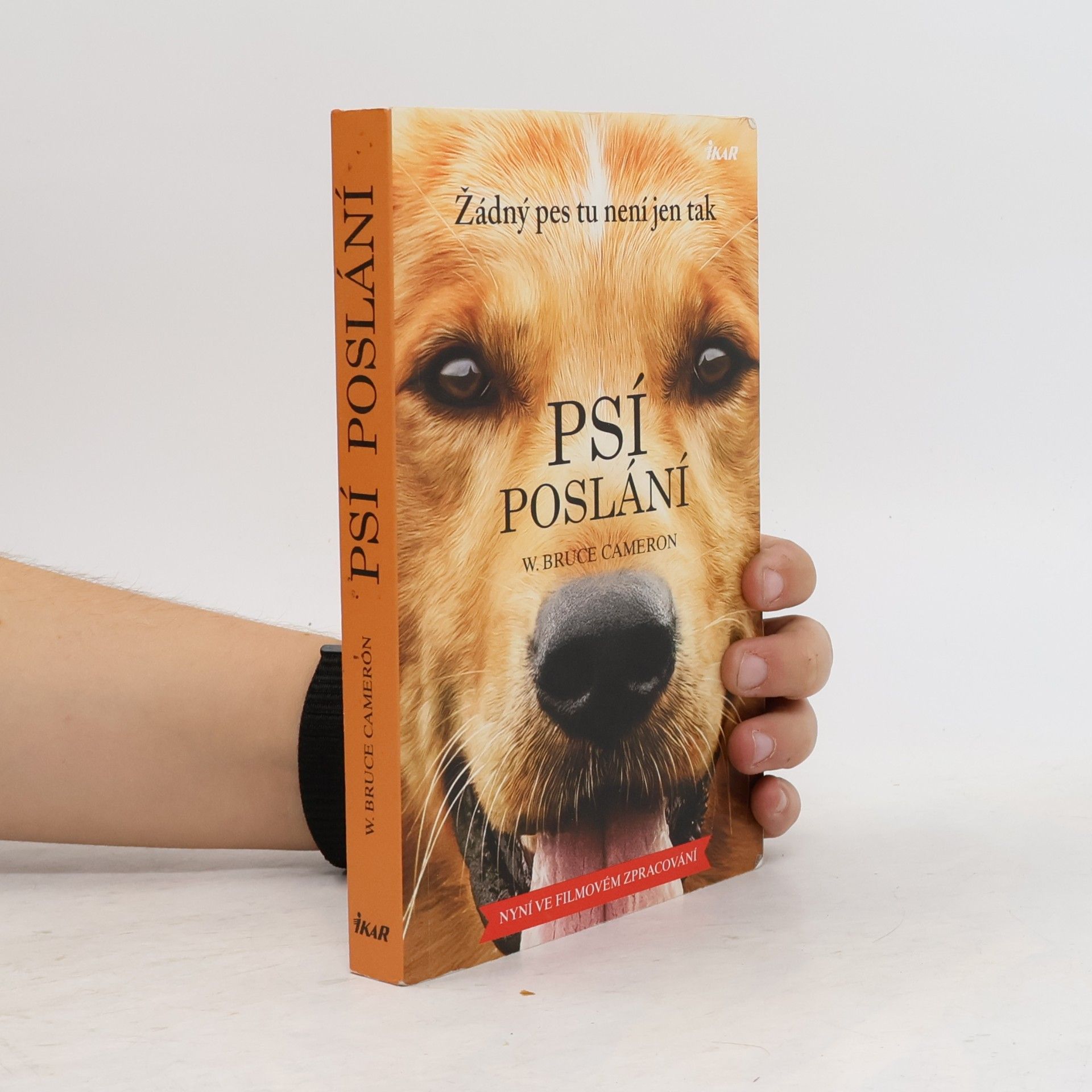 W. Bruce Cameron Psí poslání. Žádný pes tu není jen tak