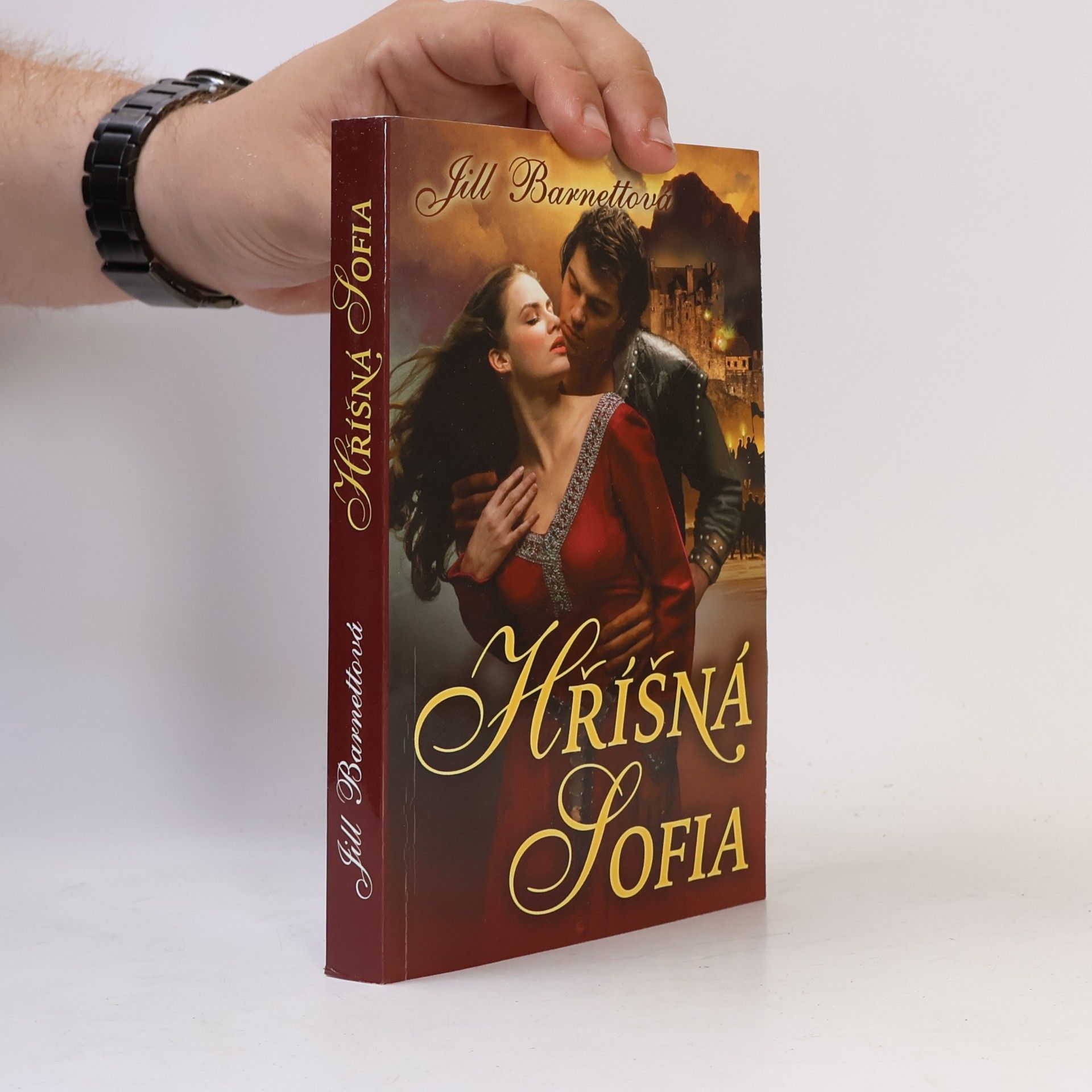 Jill Barnett Hříšná Sofia