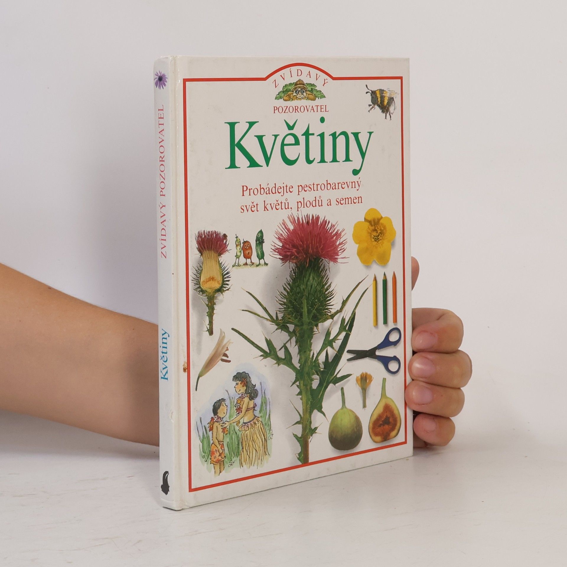 David Burnie Květiny
