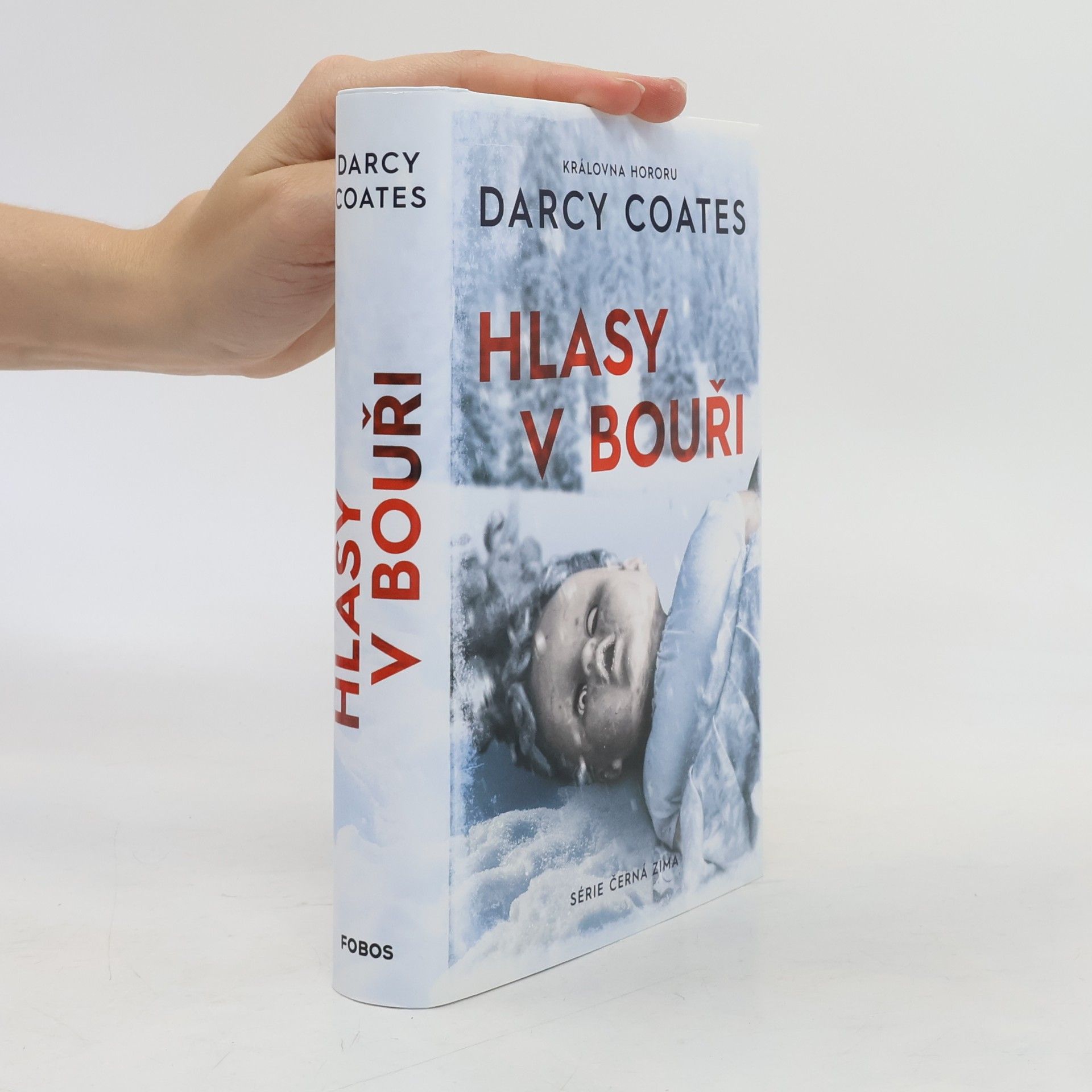 Darcy Coates Hlasy v bouři