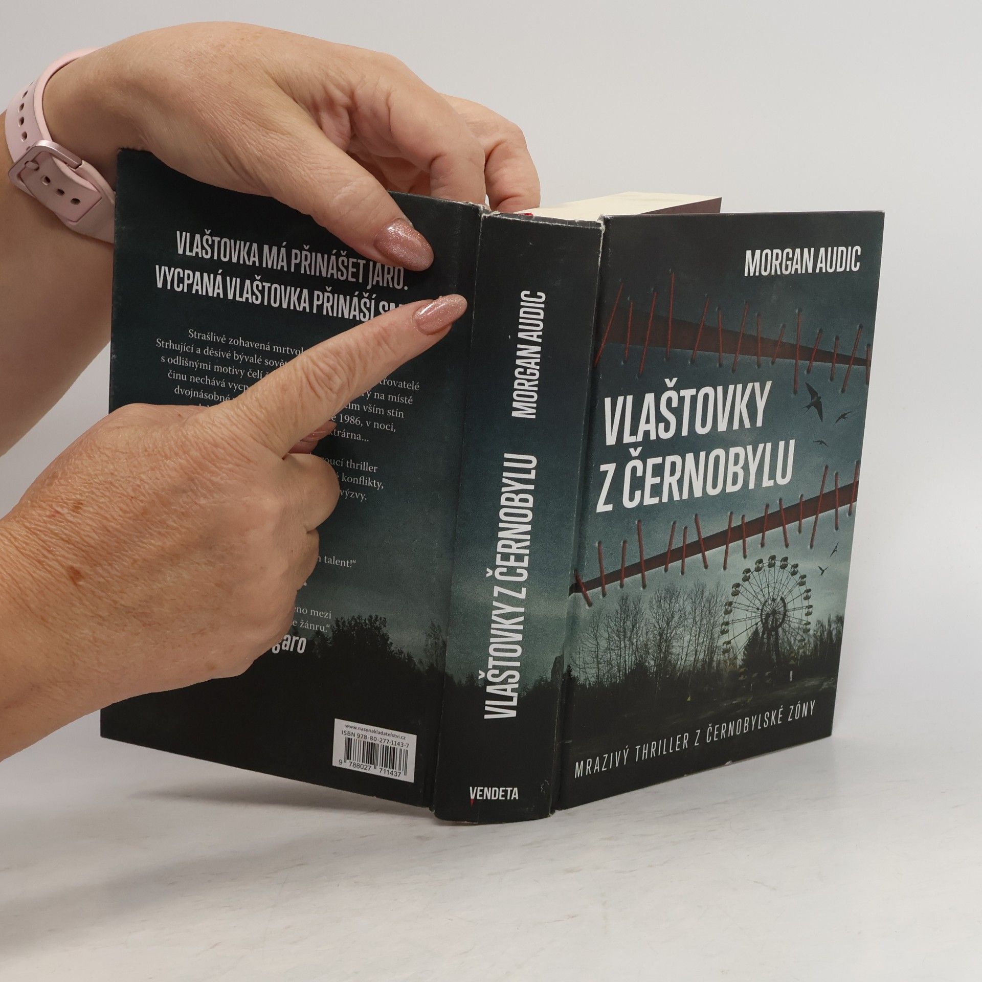 Morgan Audic Vlaštovky z Černobylu