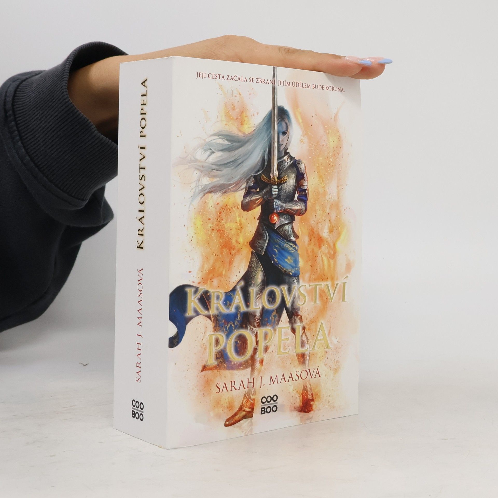 Sarah J. Maasová Království popela