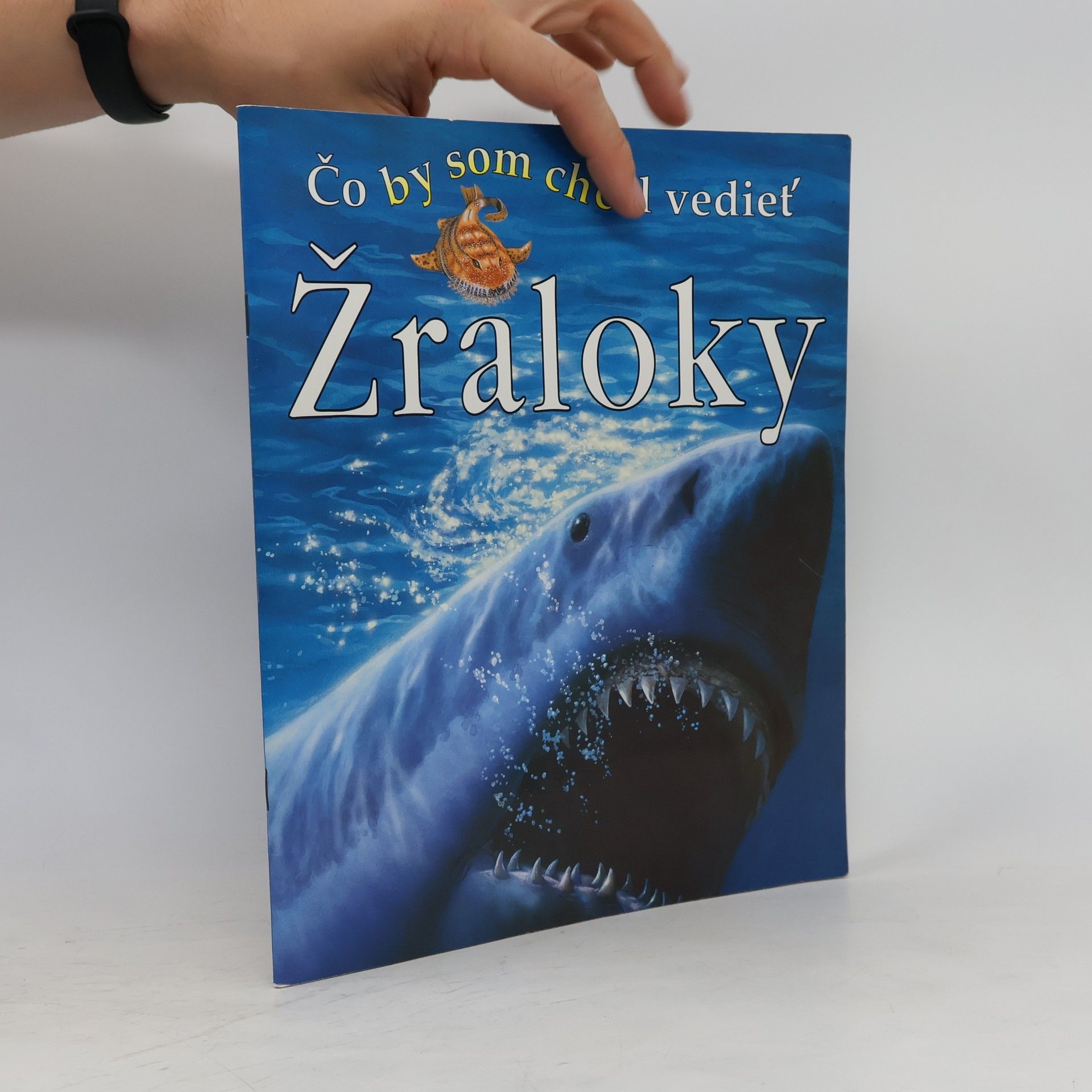 Čo by som chcel vedieť: Žraloky