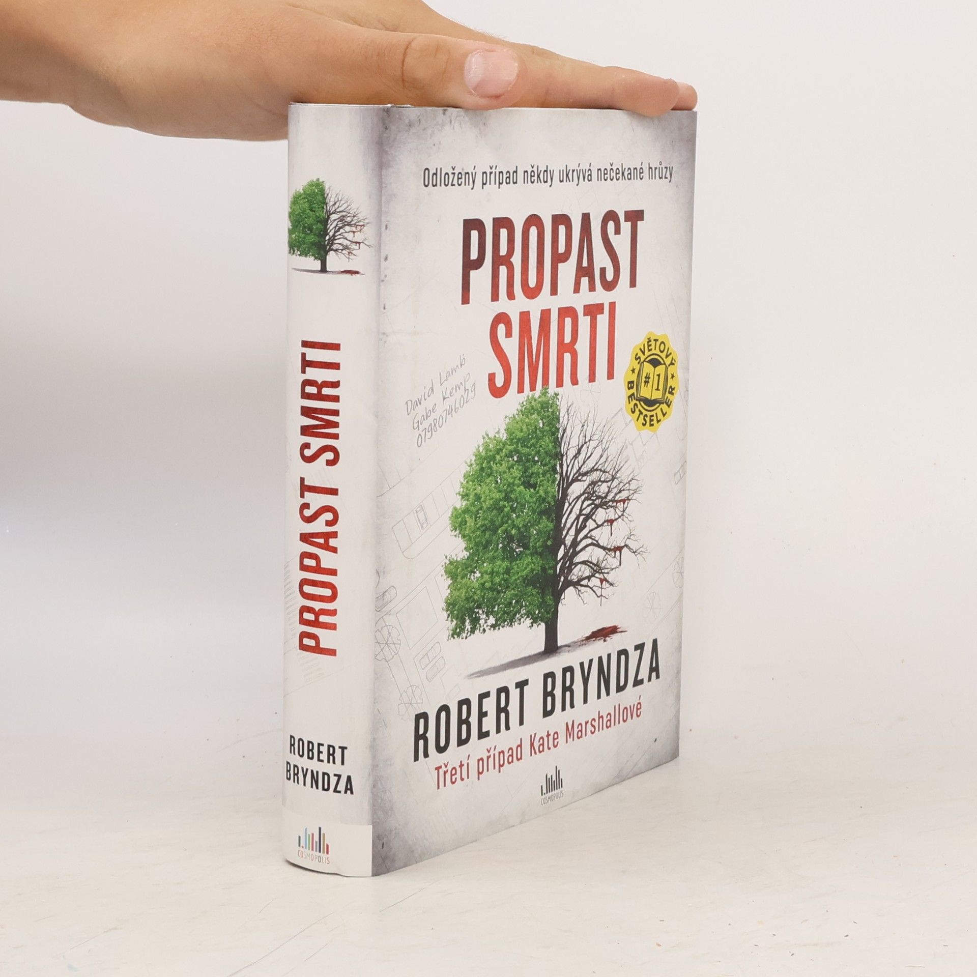 Robert Bryndza Propast smrti