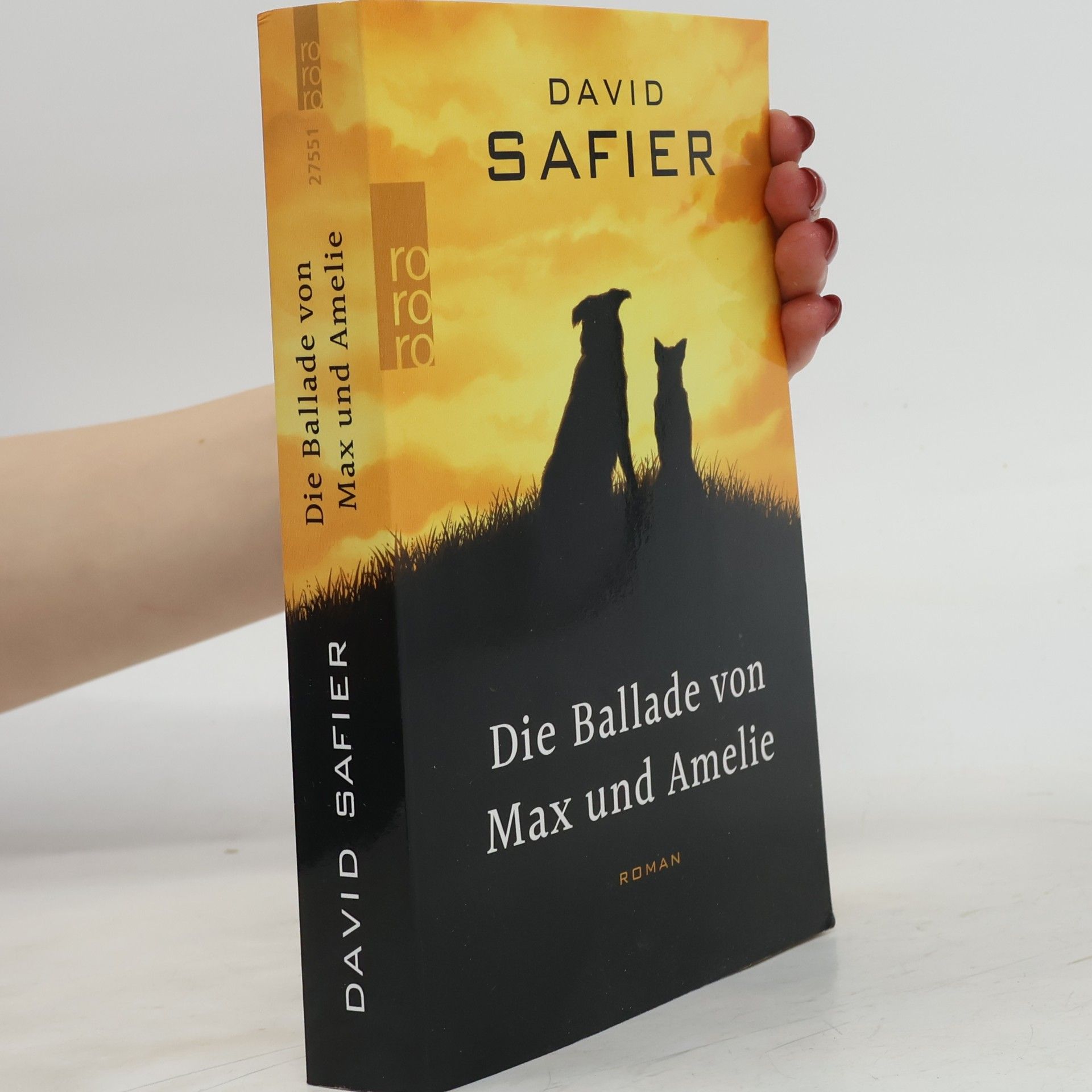 David Safier Die Ballade von Max und Amelie
