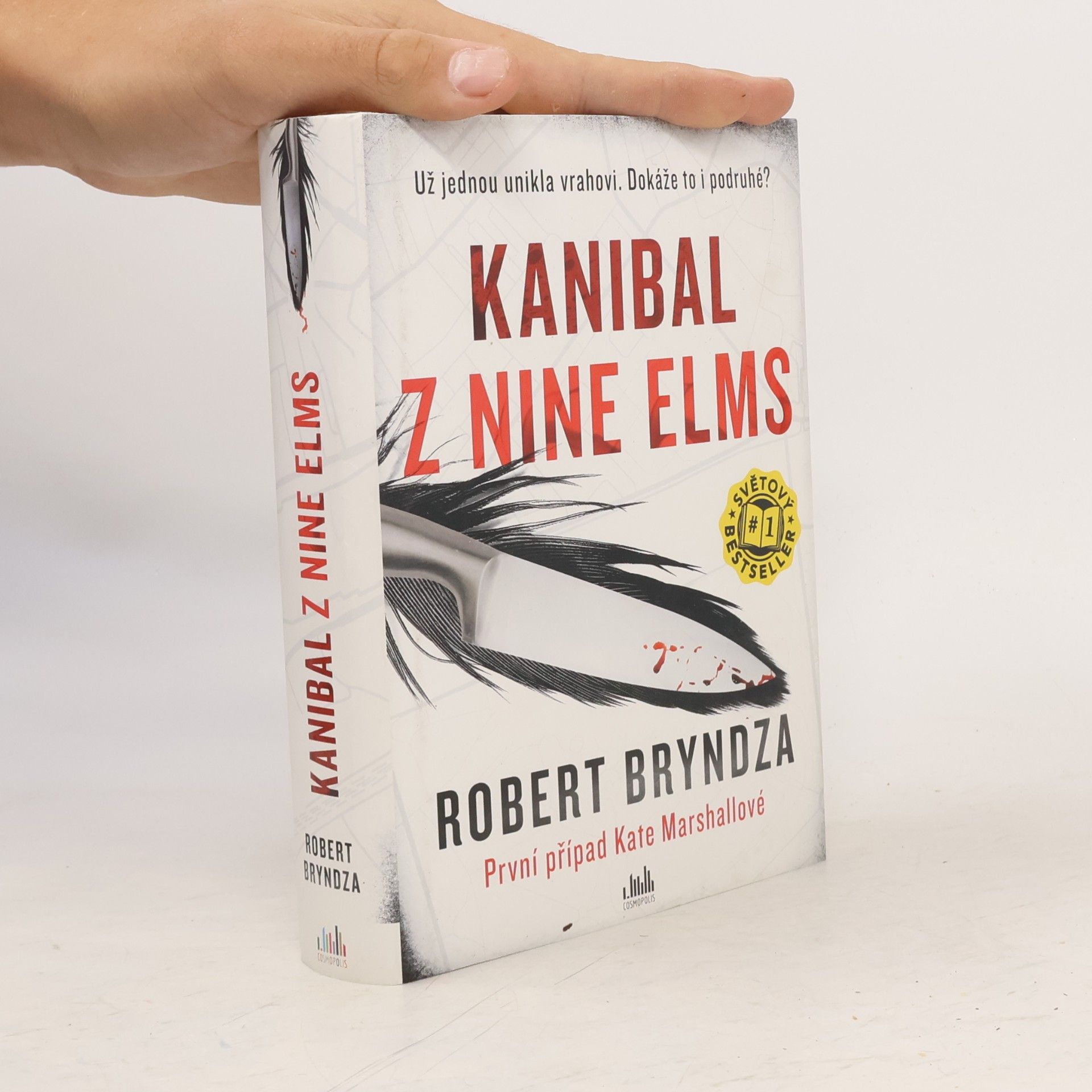 Robert Bryndza Kanibal z Nine Elms