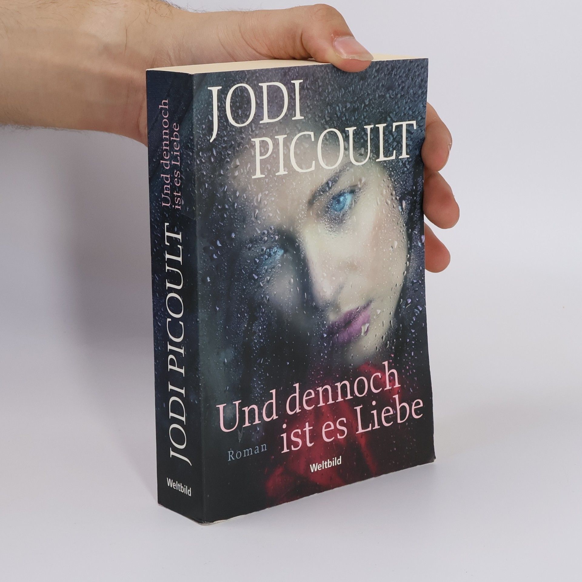 Jodi Picoult Und dennoch ist es Liebe