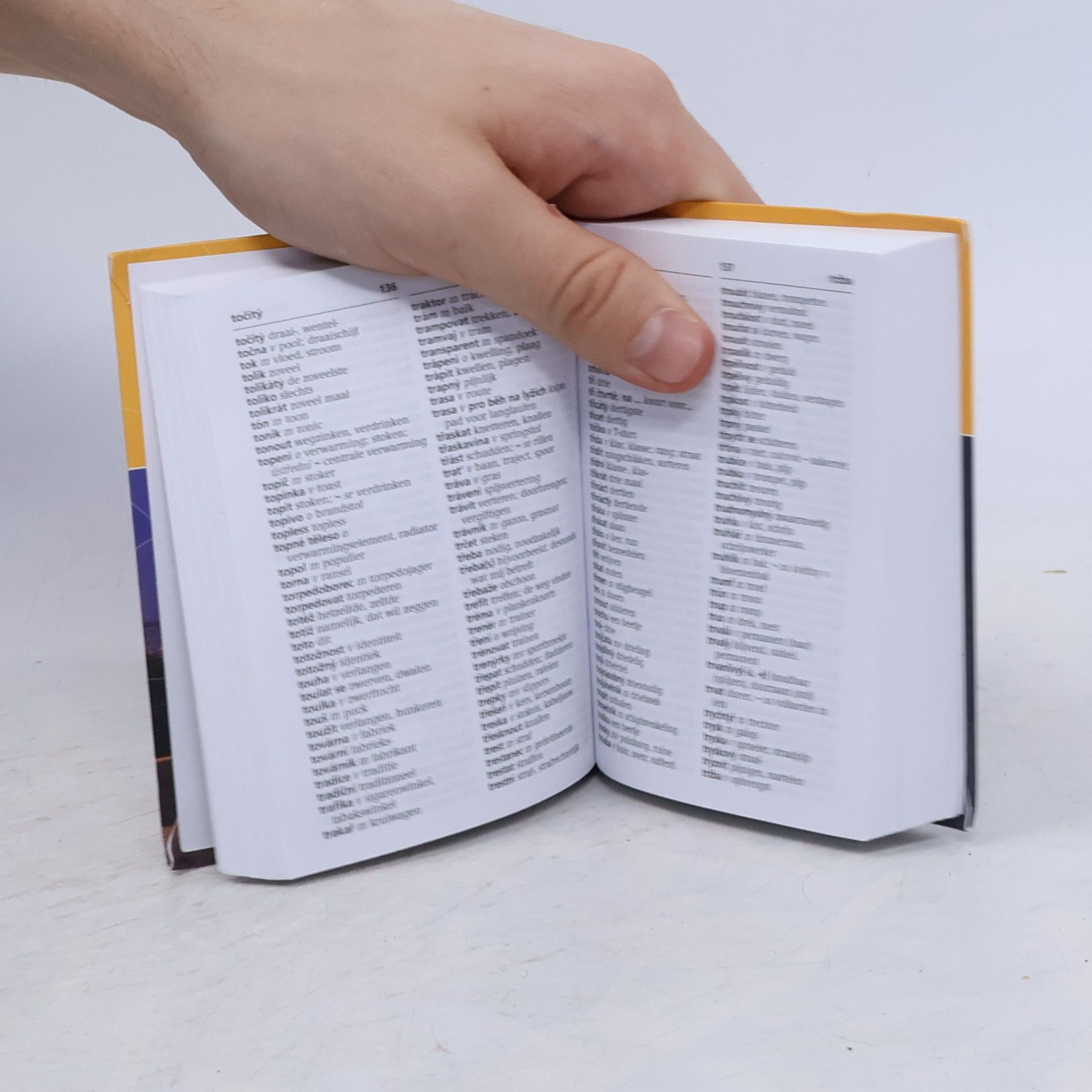 Blanka Ernest-Martinec Prisma miniwoordenboeken: Tsjechisch-Nederlands Nederlands- Tsjechisch