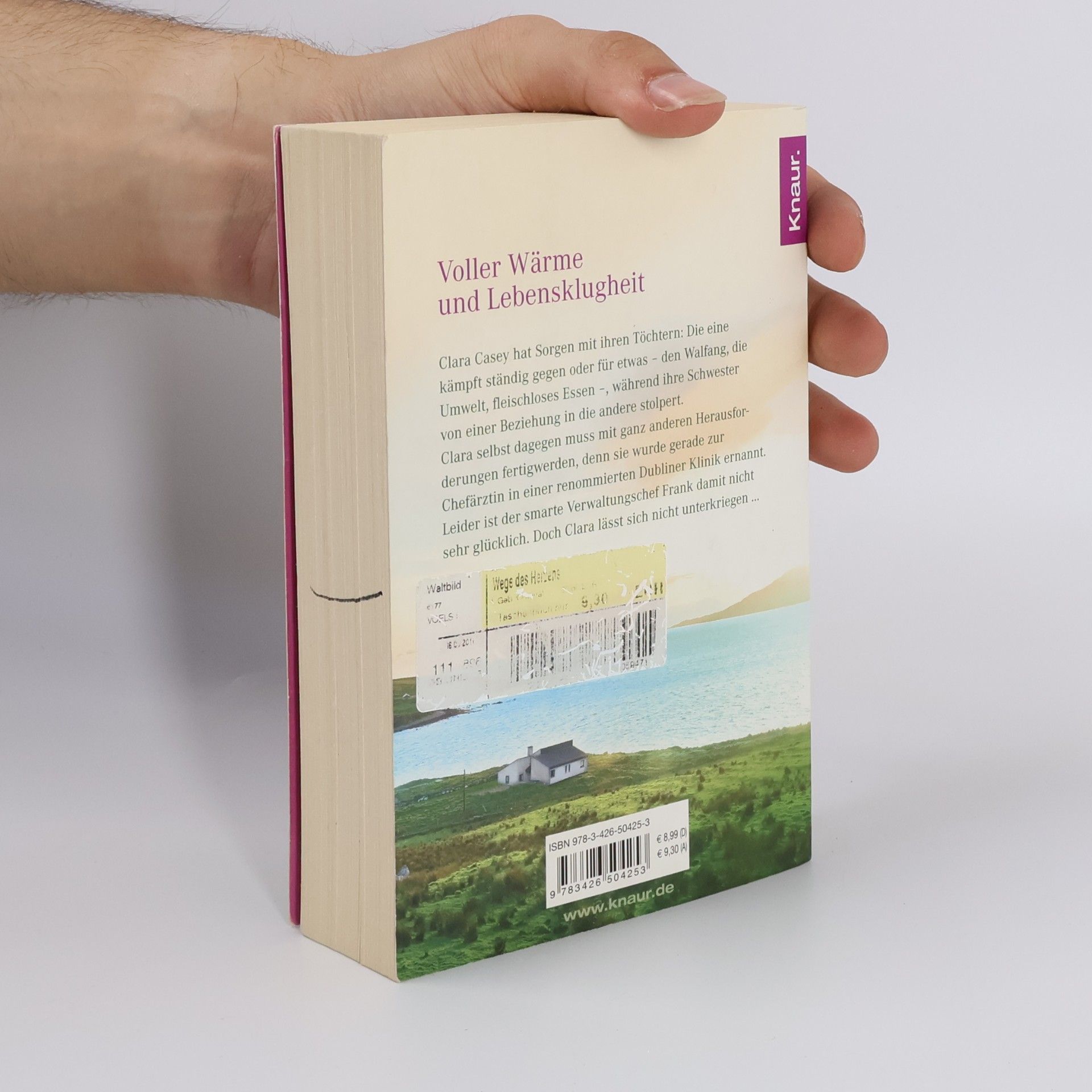 Maeve Binchy Wege des Herzens