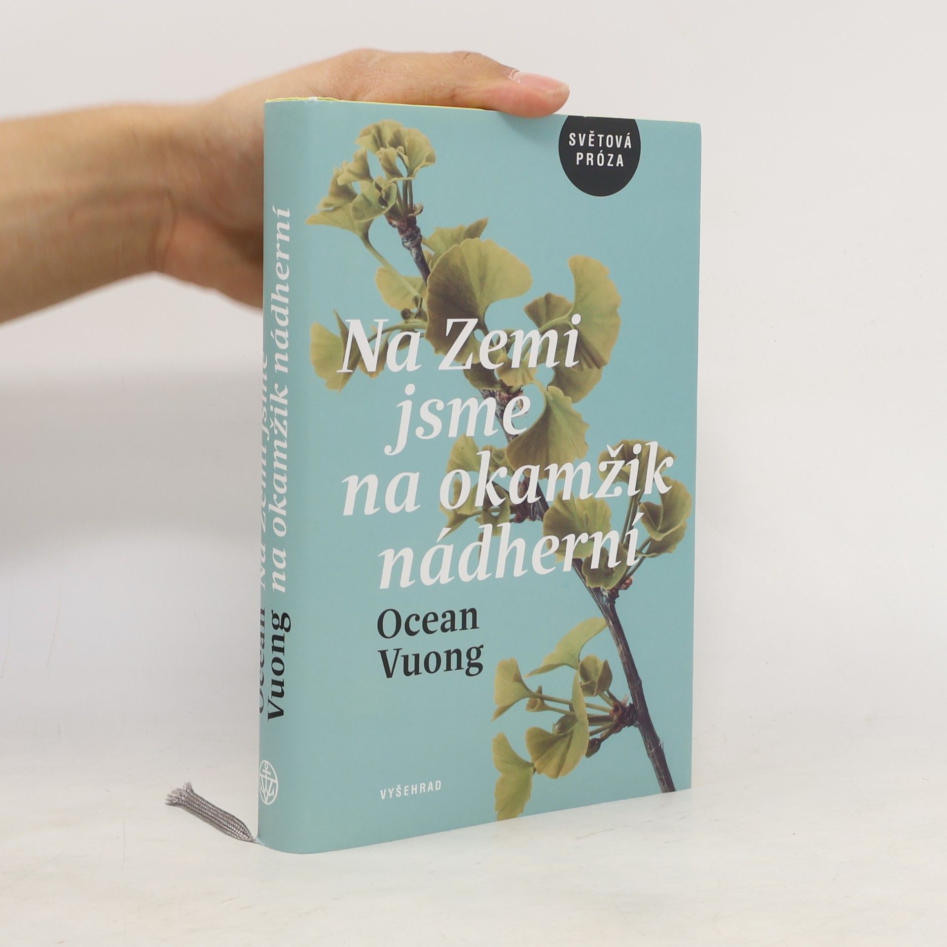 Ocean Vuong Na Zemi jsme na okamžik nádherní