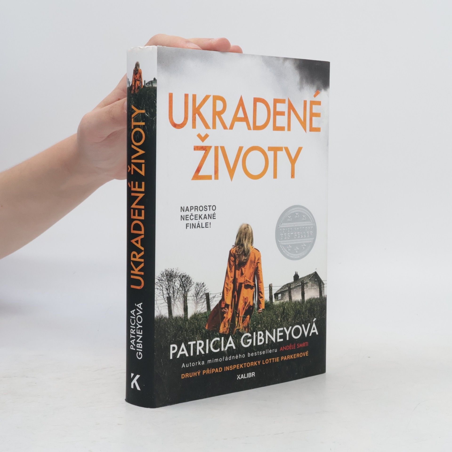 Patricia Gibney Ukradené životy