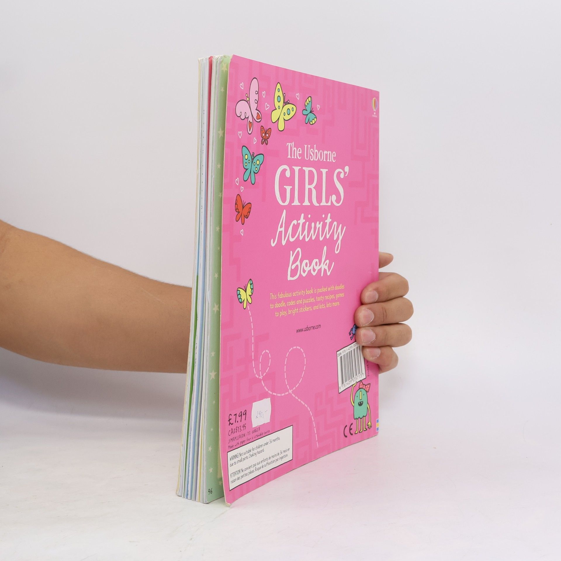 R. Wayne Gilpin The Usborne Girls' Activity Book