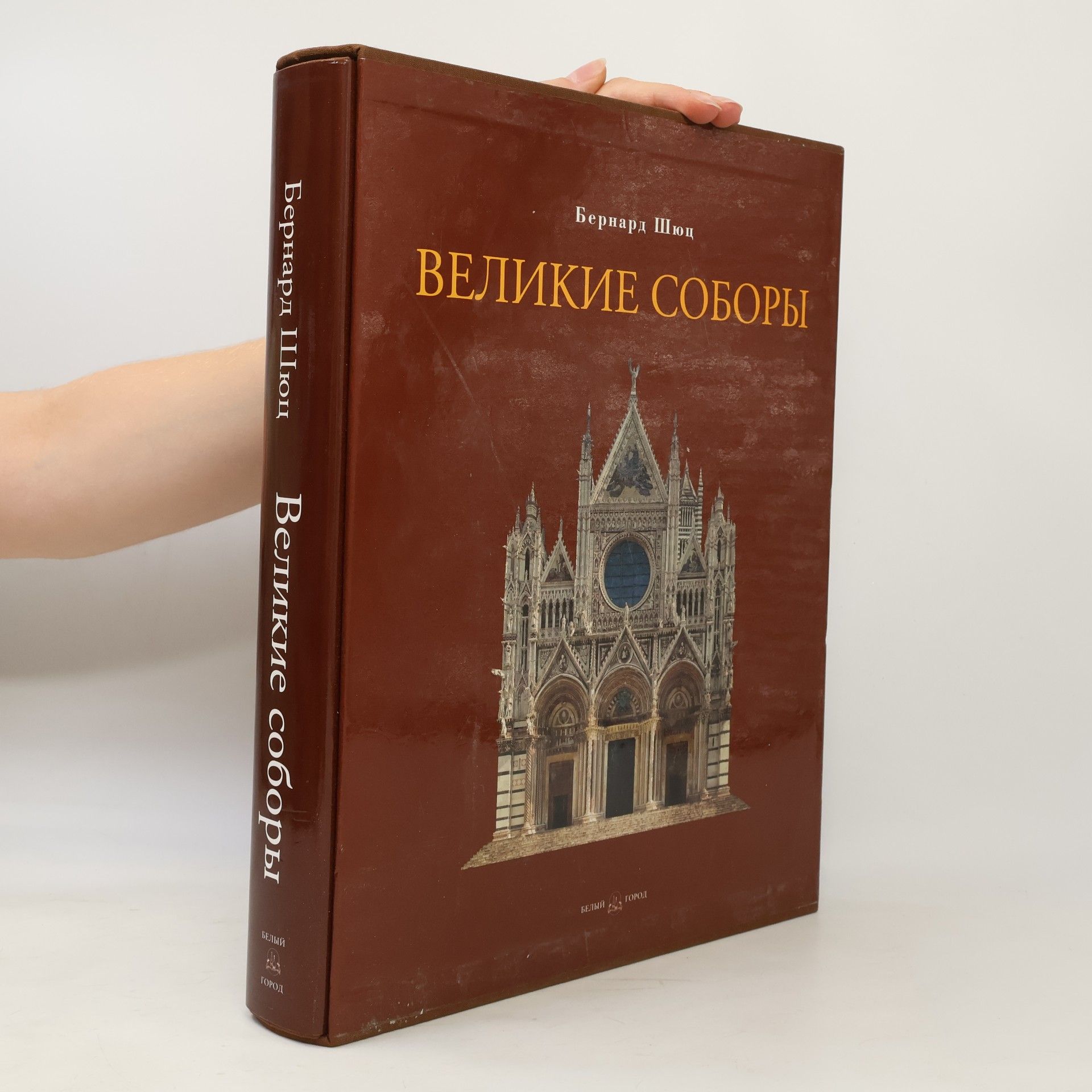 Бернард Шюц Великие соборы