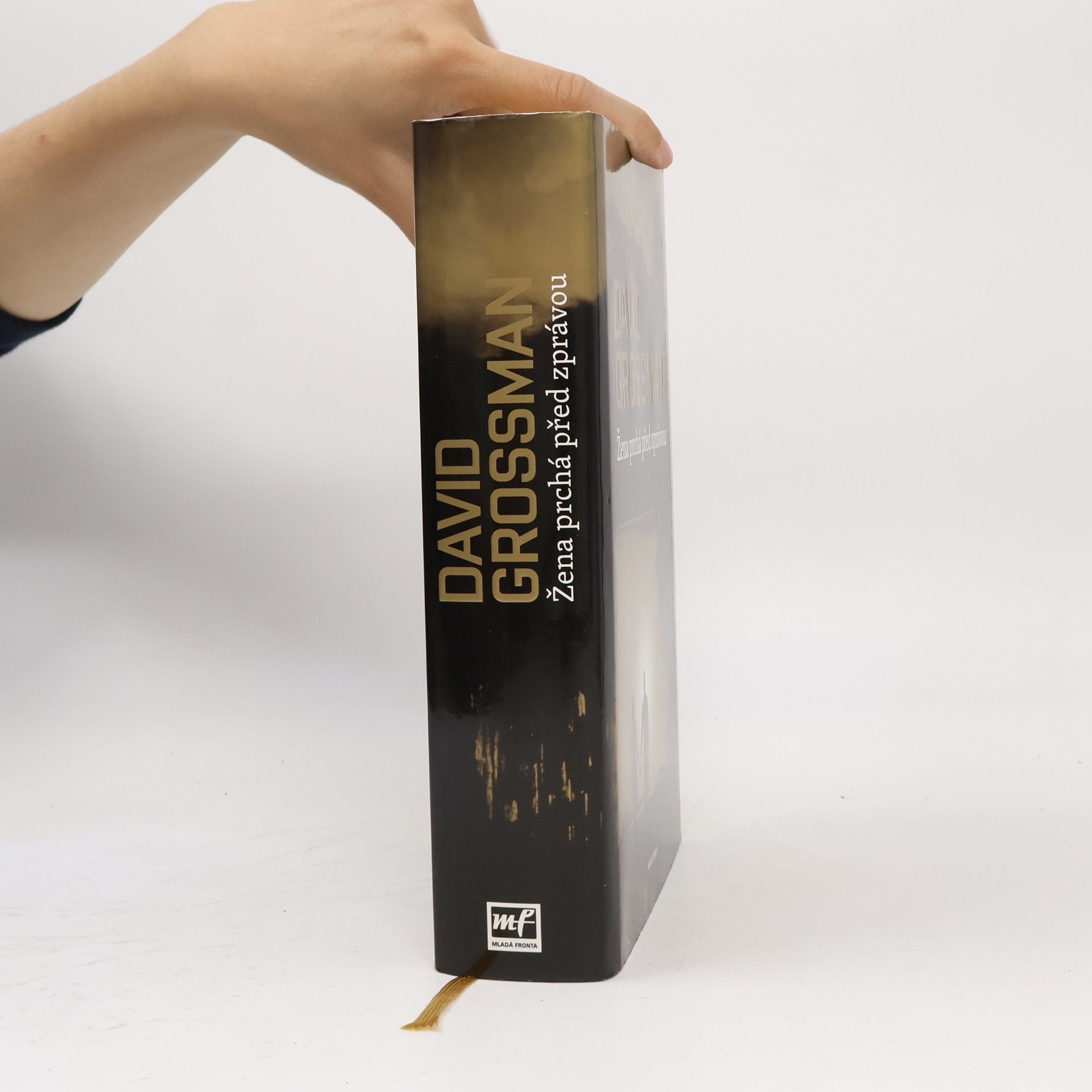 David Grossman Žena prchá před zprávou