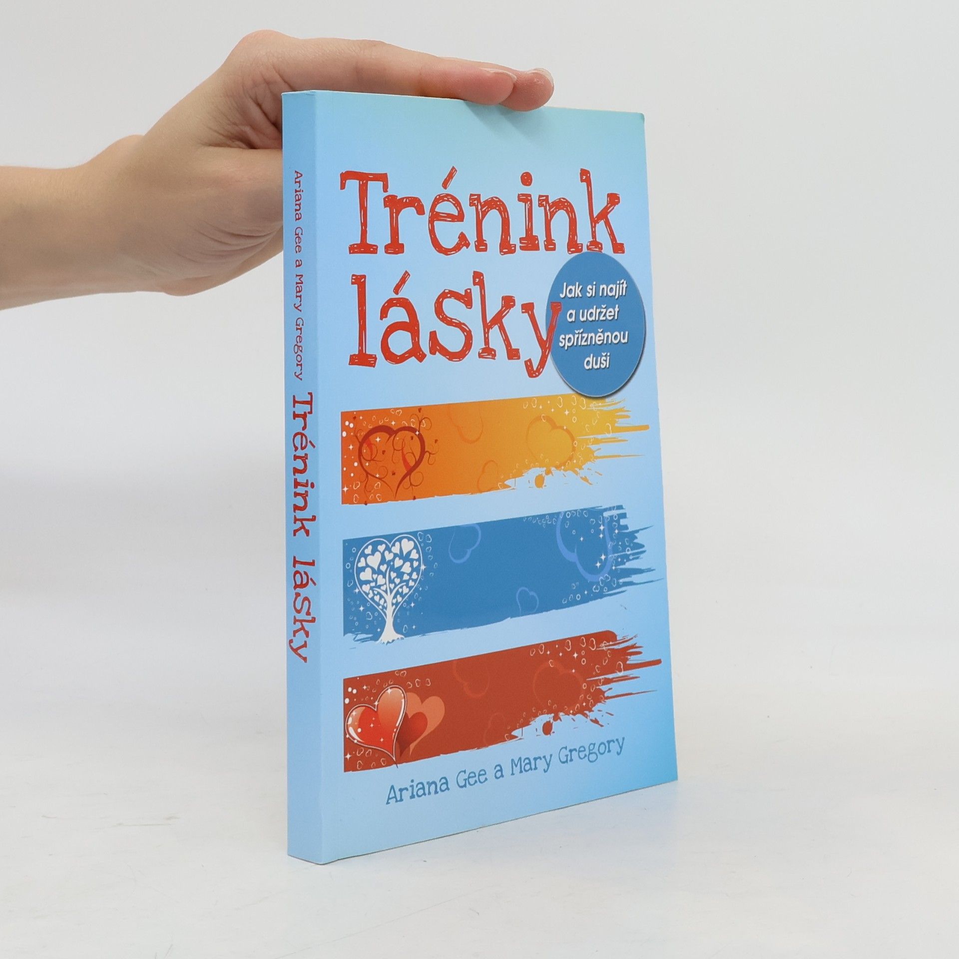 Mary Gregory Trénink lásky: Jak si najít a udržet spřízněnou duši