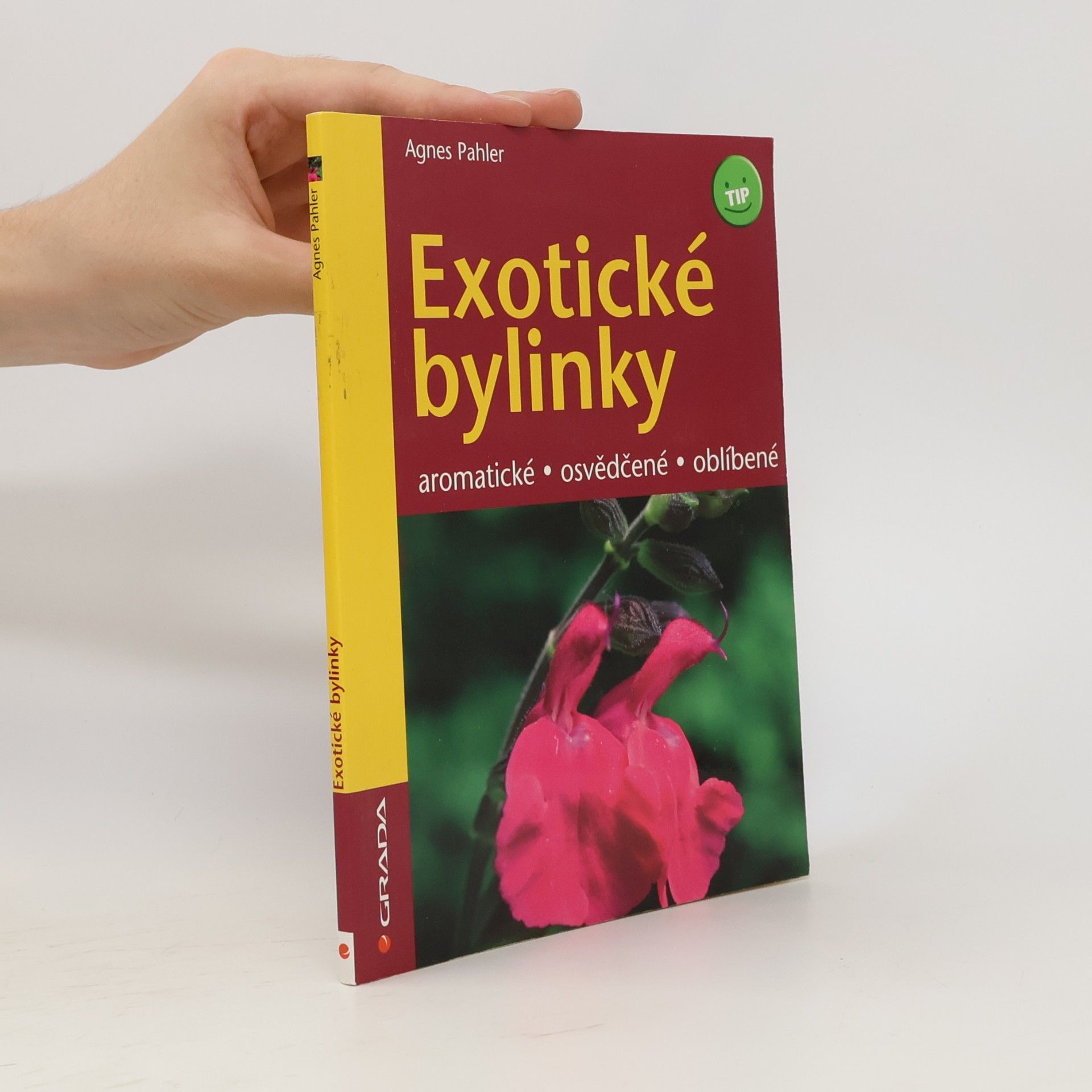 Exotické bylinky