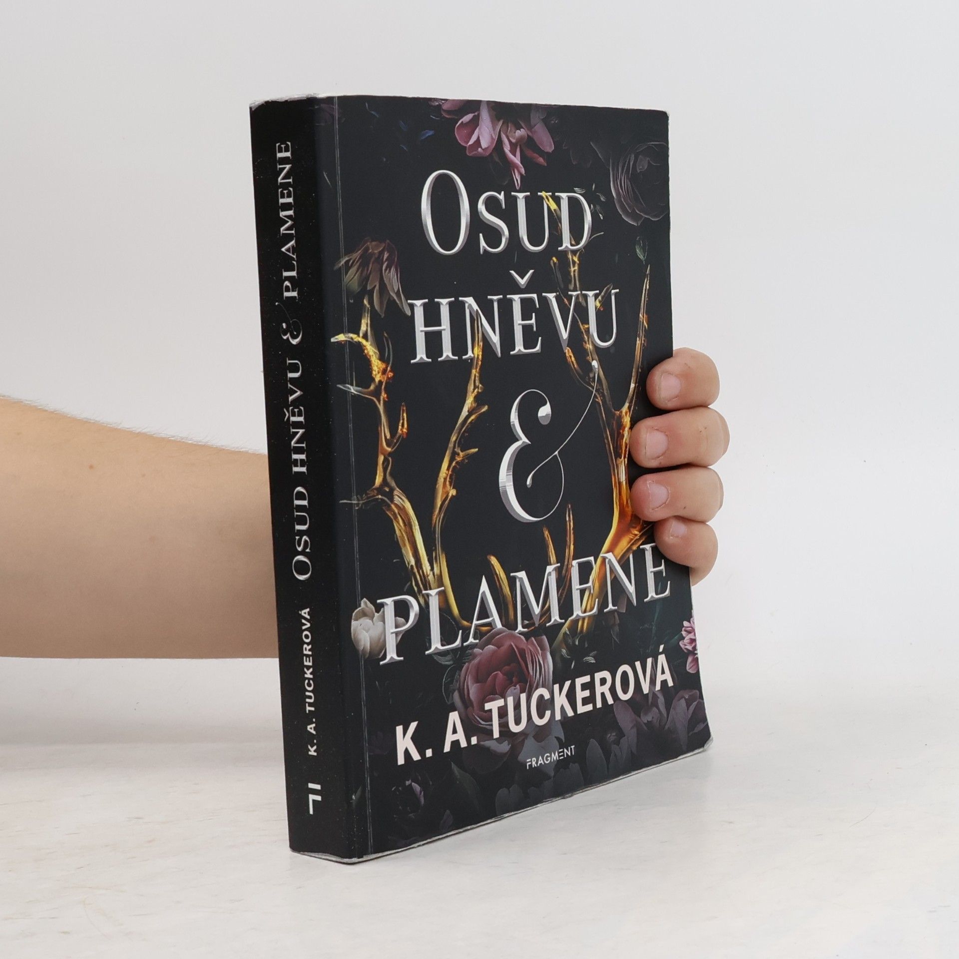 K. A. Tucker Osud hněvu & plamene