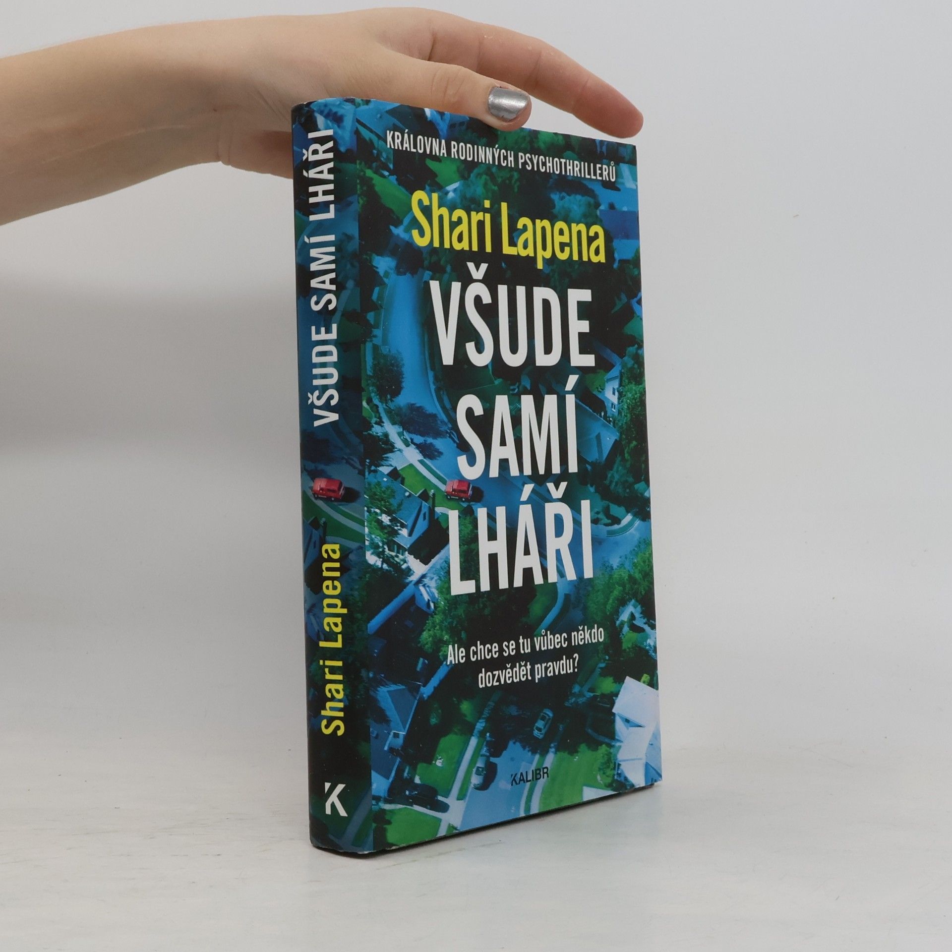 Shari Lapena Všude samí lháři