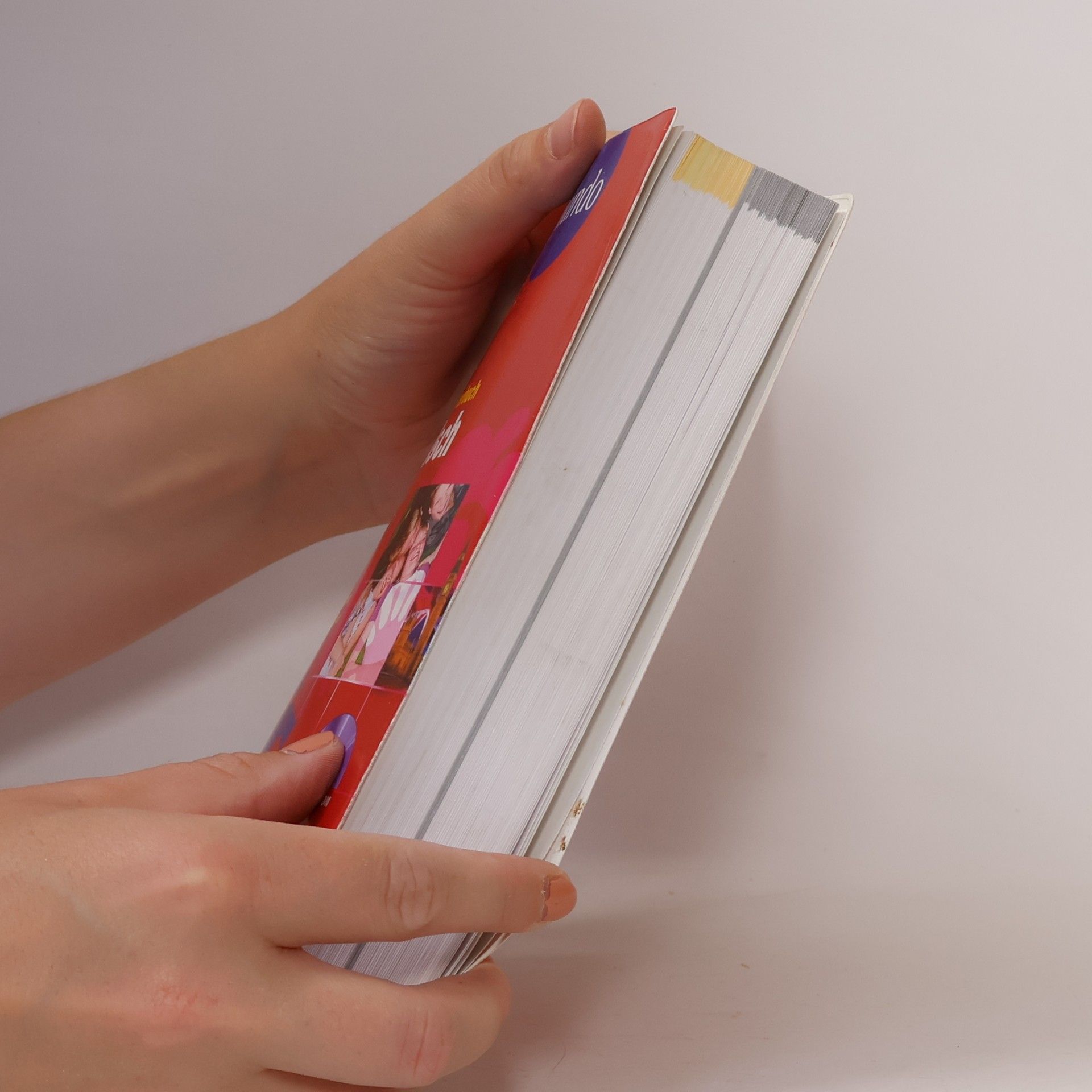 Veronika Schnorr Schülerwörterbuch Englisch