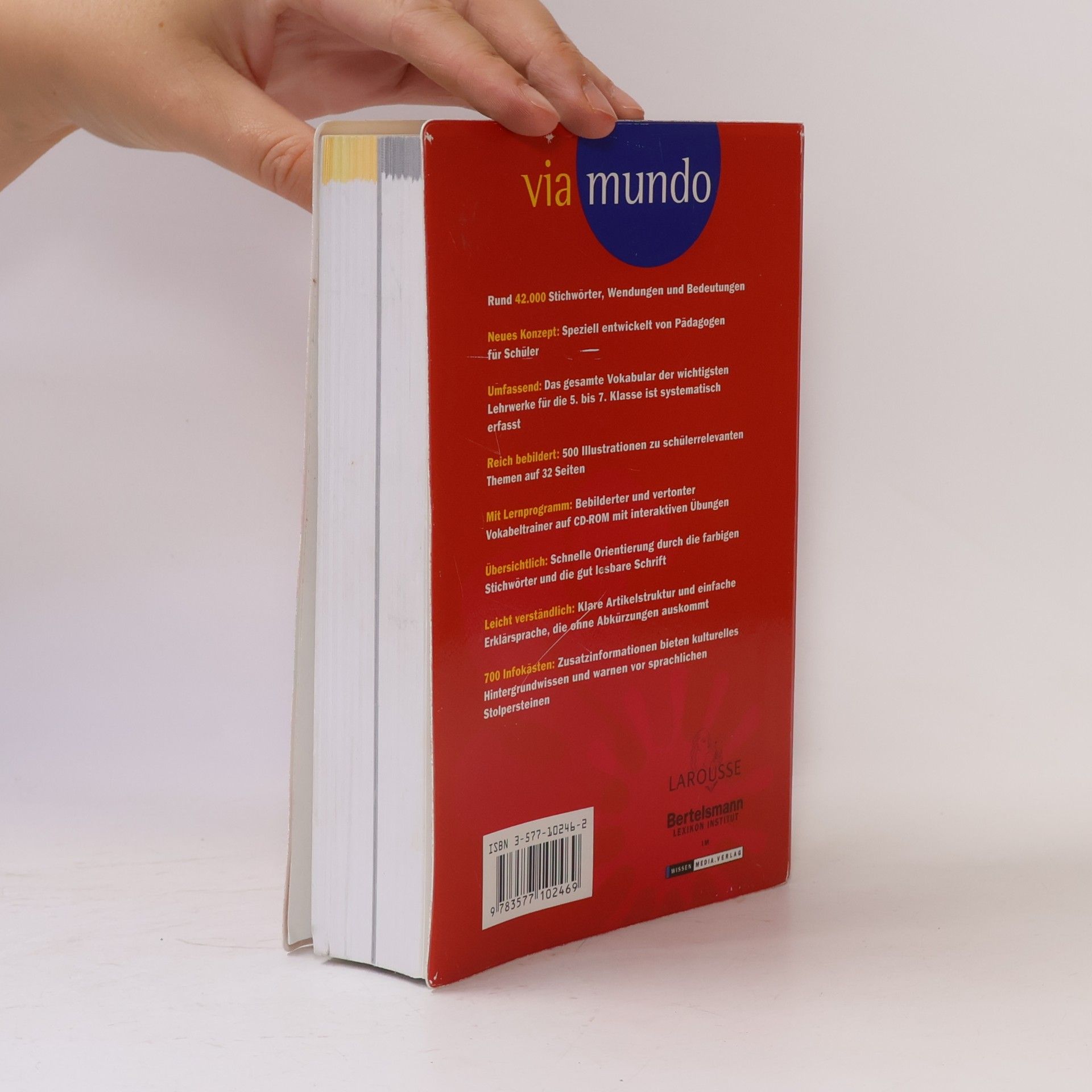 Veronika Schnorr Schülerwörterbuch Englisch