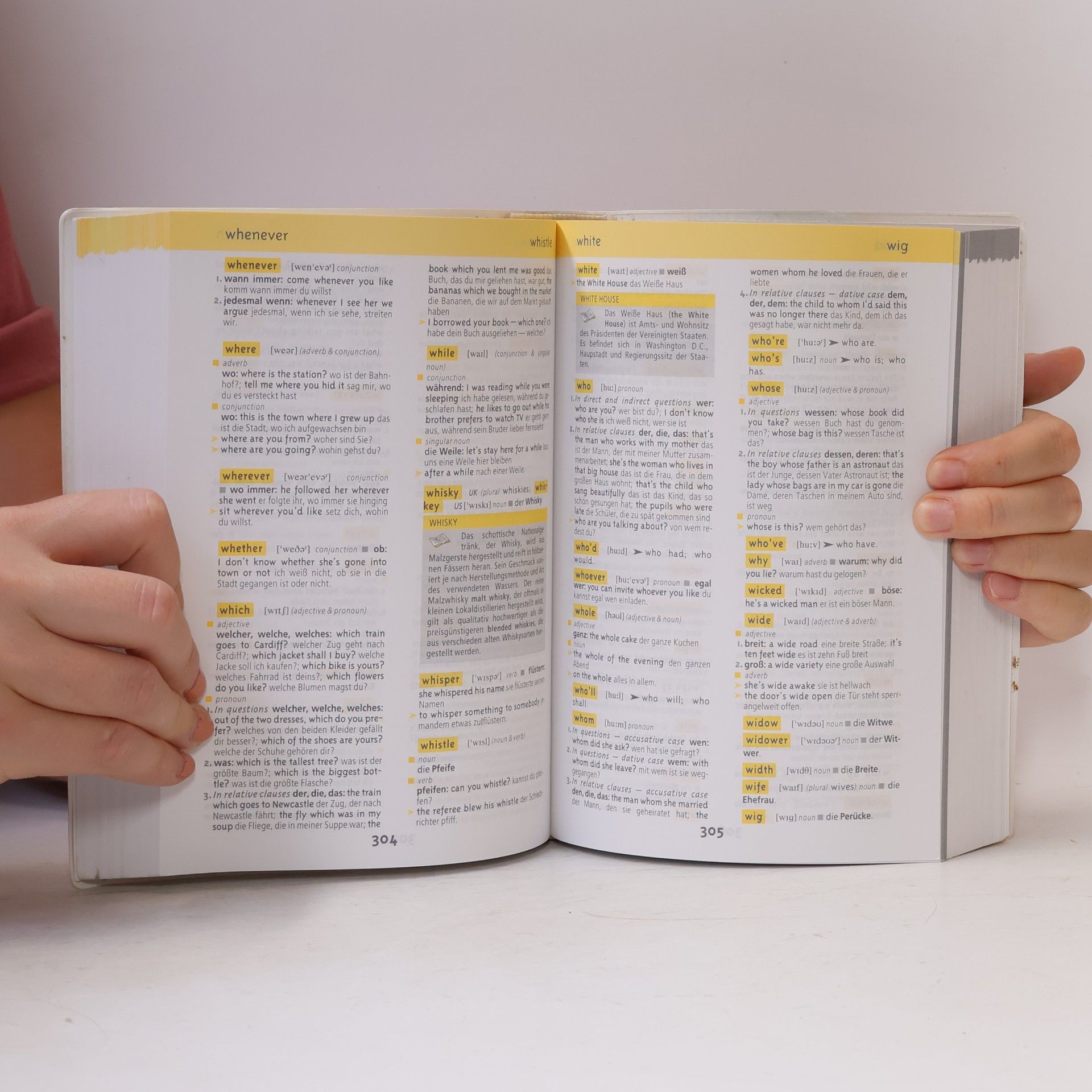 Veronika Schnorr Schülerwörterbuch Englisch