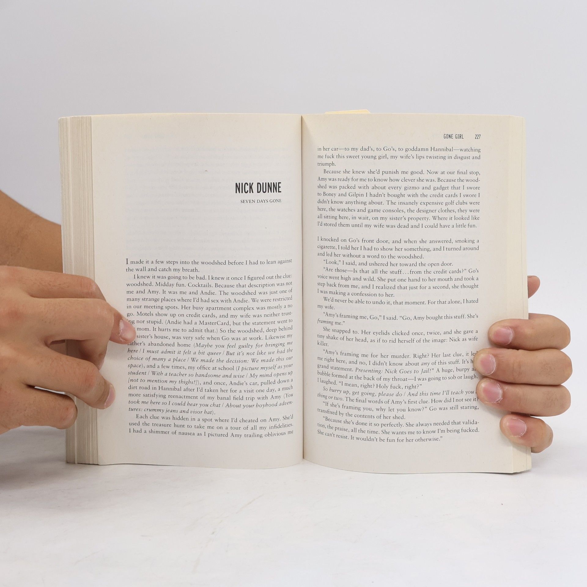 Gillian Flynn Gone girl
