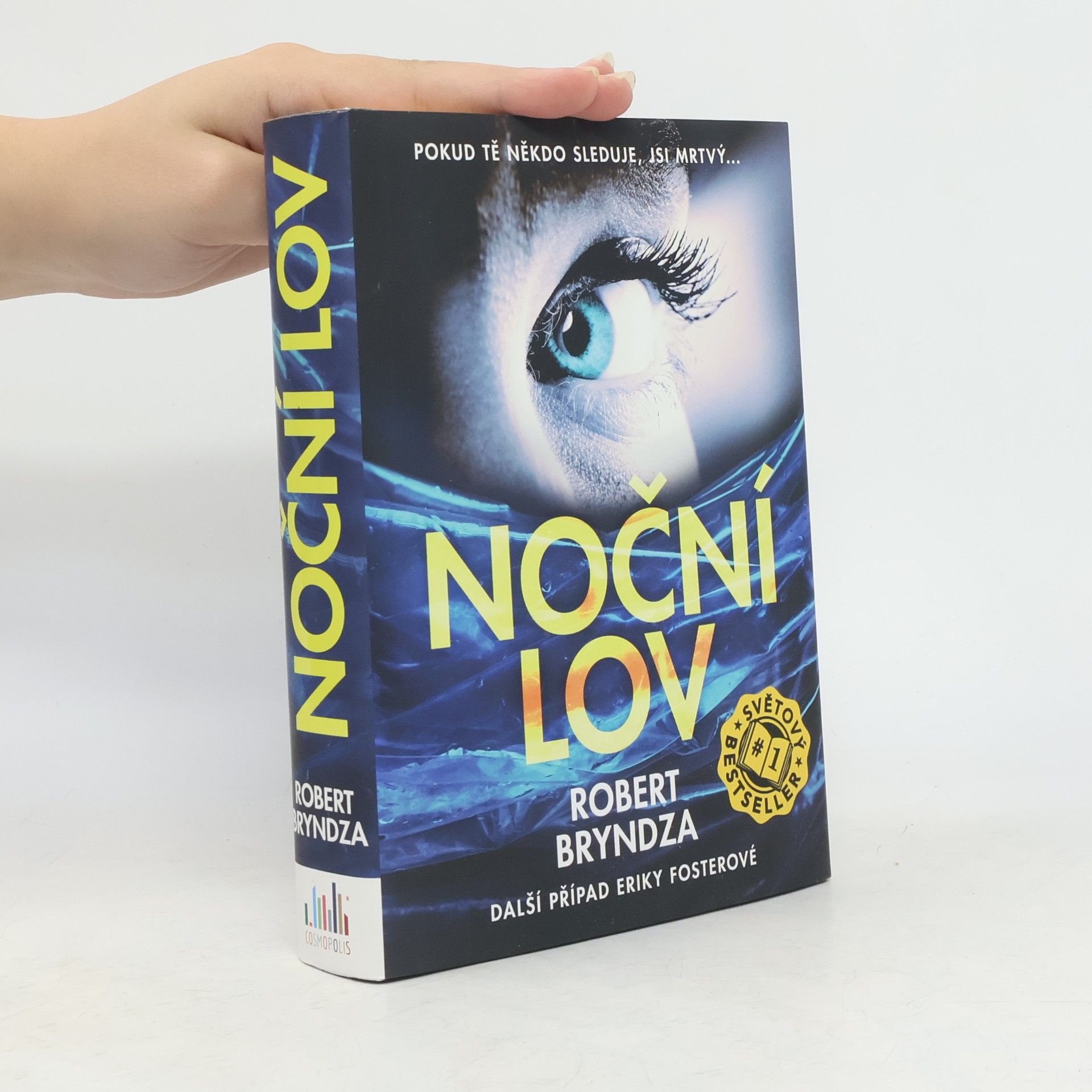 Robert Bryndza Noční lov