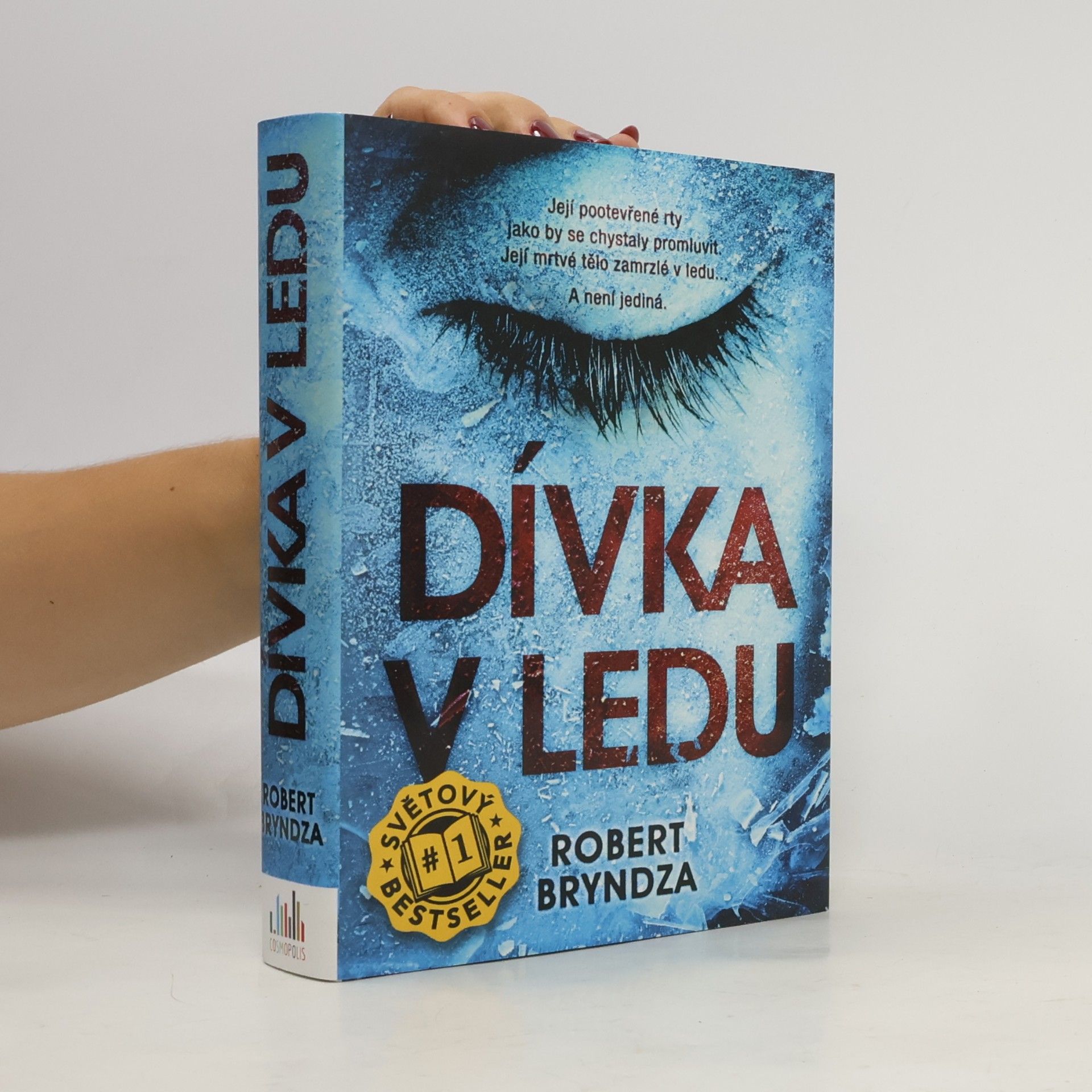 Robert Bryndza Dívka v ledu