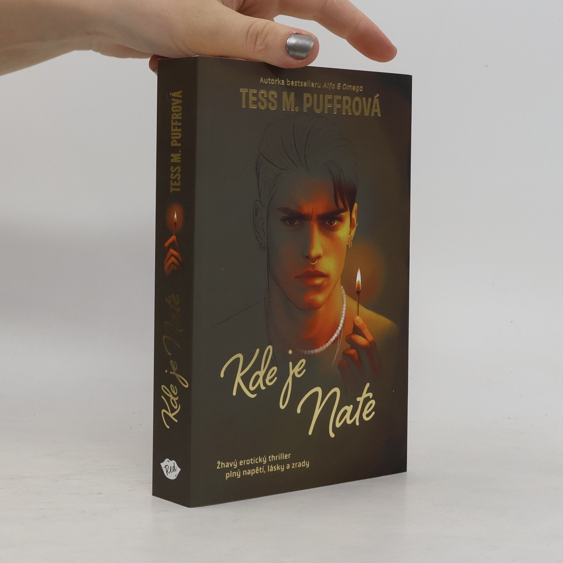 Tess M. Puffrová Kde je Nate