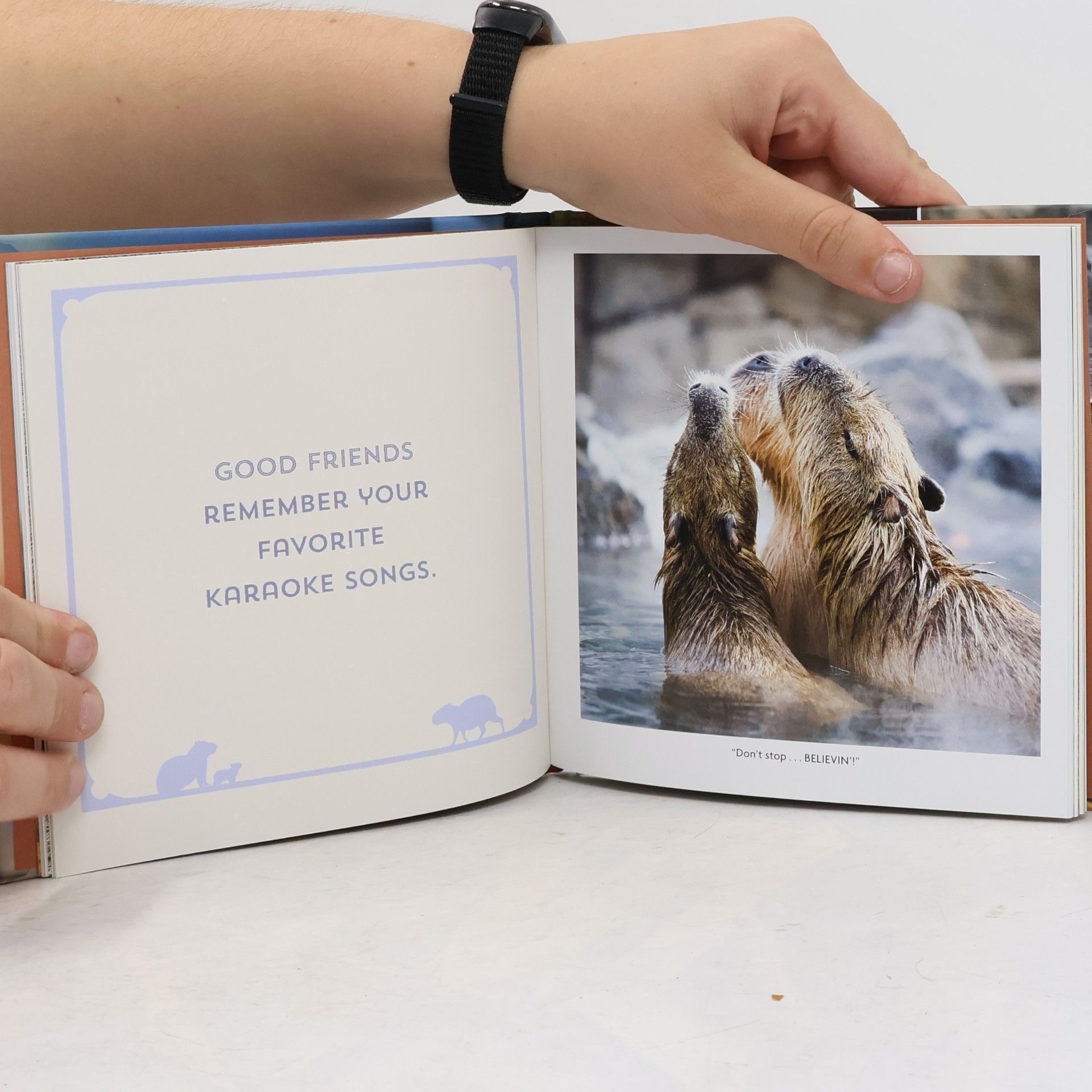 Chronicle Books You're a Good Friend, Capybara