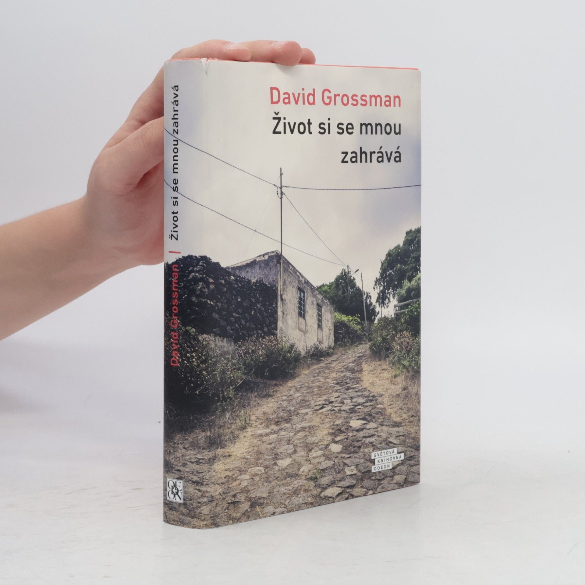 David Grossman Život si se mnou zahrává