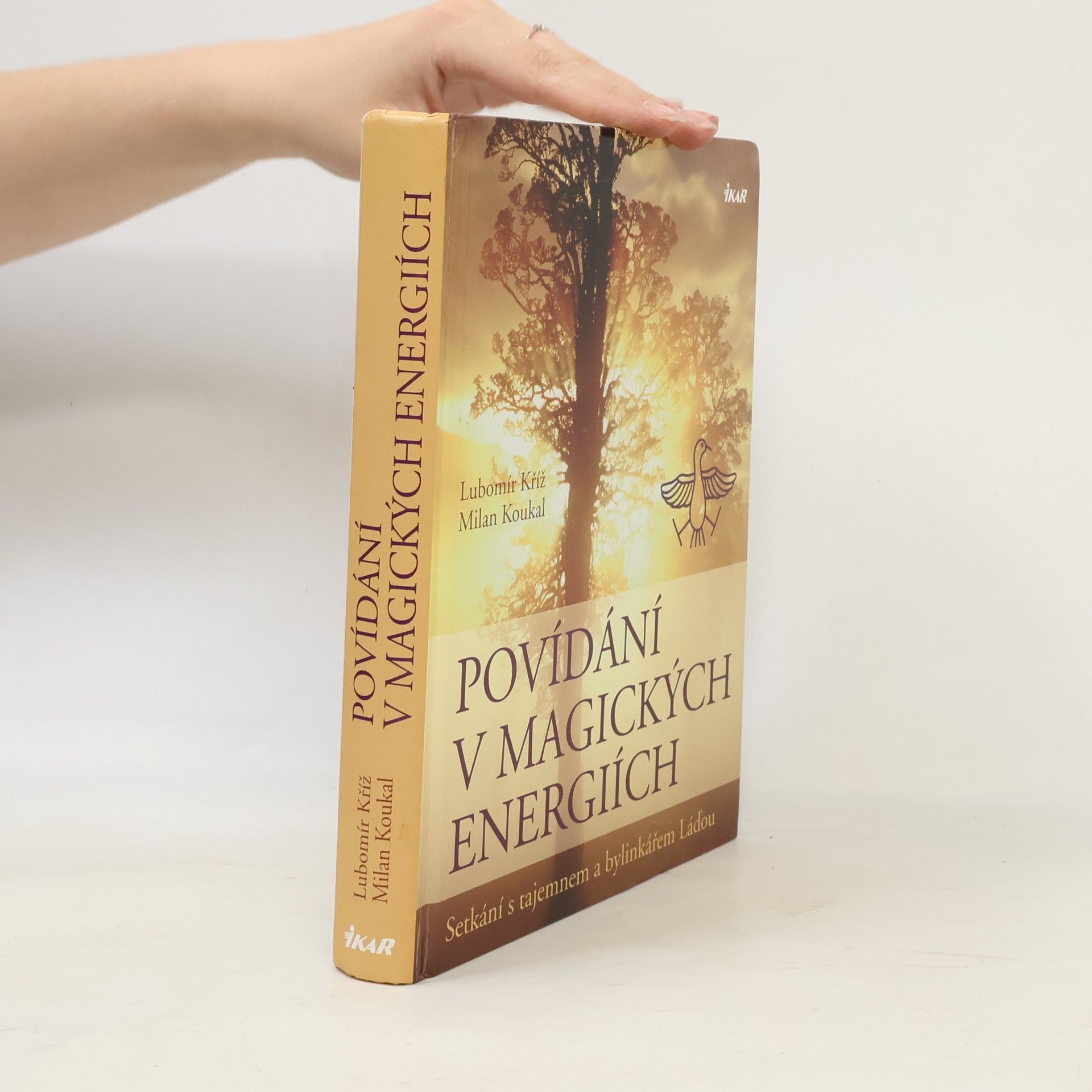 Lubomír Kříž Povídání v magických energiích
