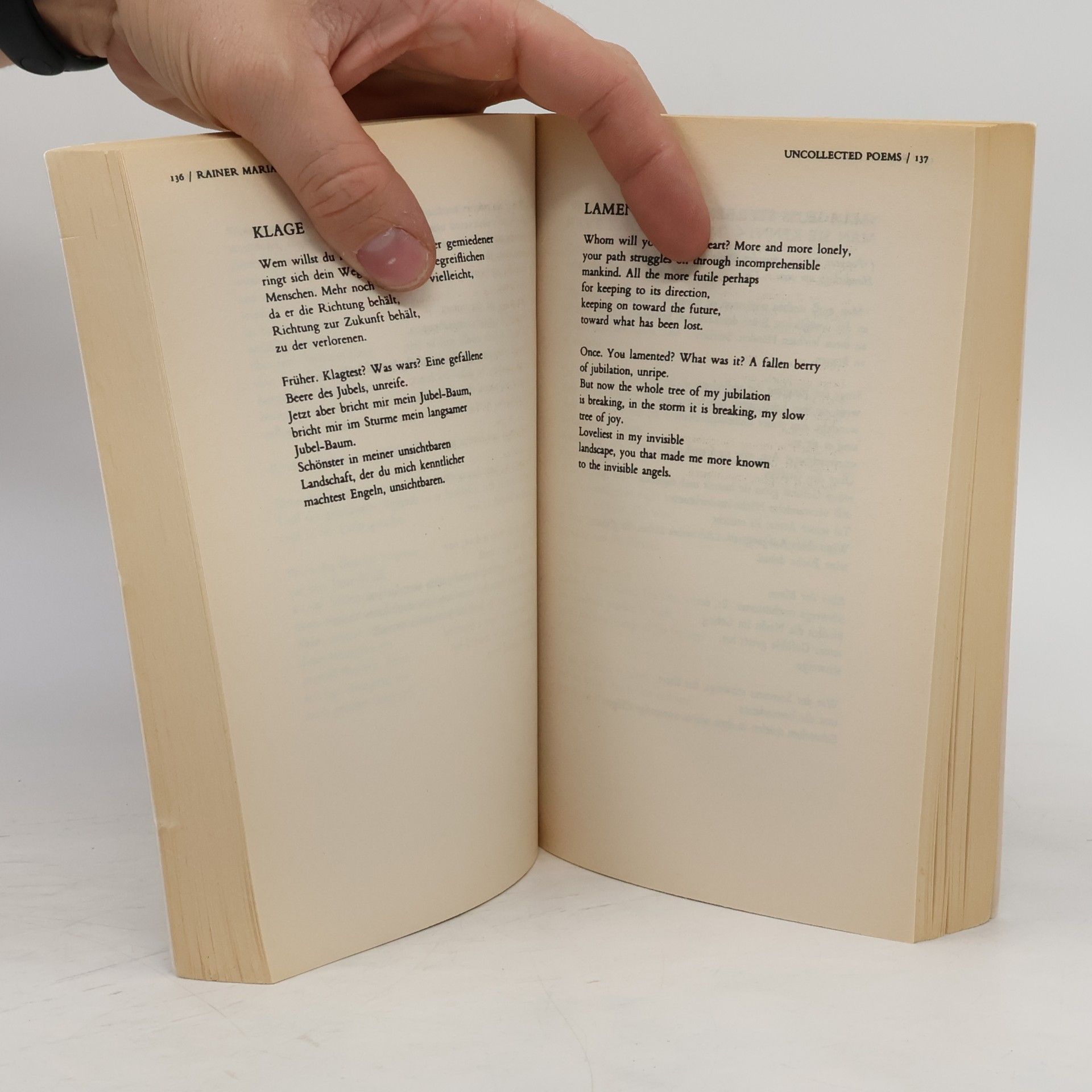 Rainer Maria Rilke The Selected Poetry of Rainer Maria Rilke