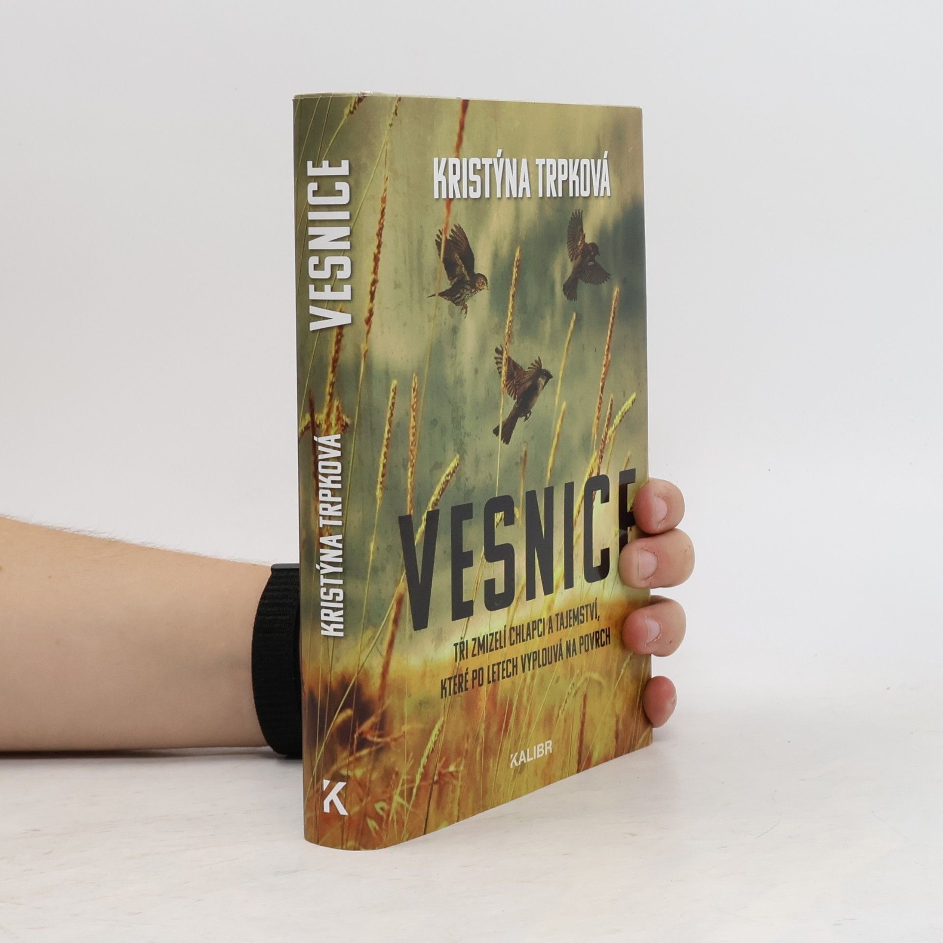 Kristýna Trpková Vesnice