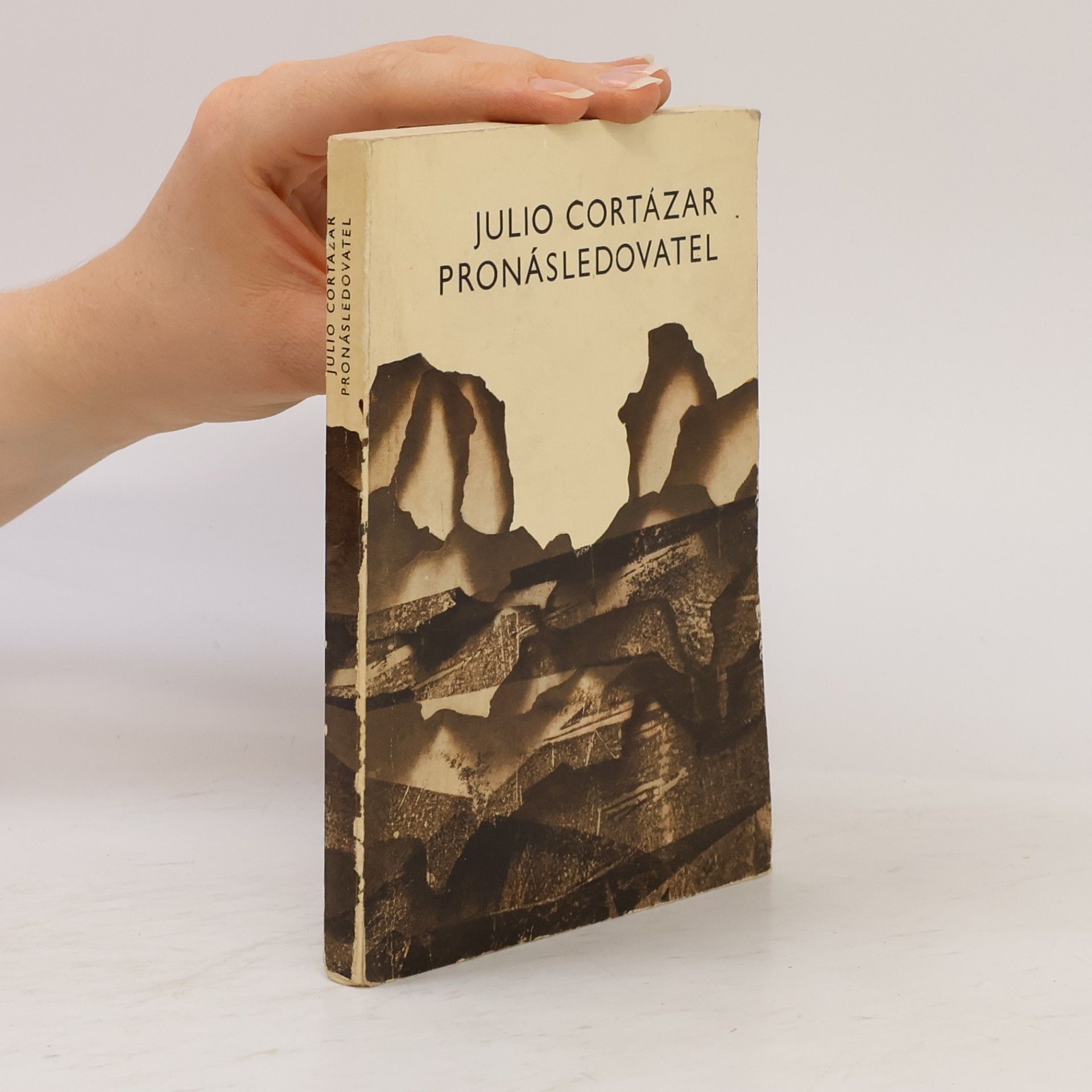 Julio Cortázar Pronásledovatel