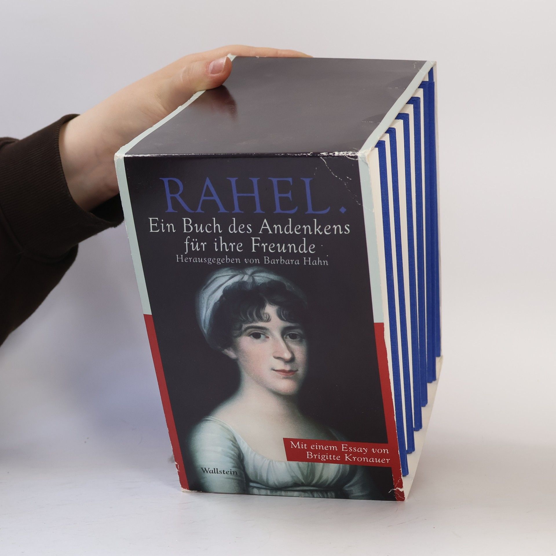 Rahel Varnhagen Rahel. Ein Buch des Andenkens für ihre Freunde